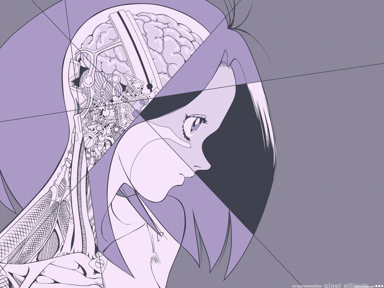 1600x1200 brain, #anime, #Gally, #anatomy, #Battle Angel Alita, wallpaper, Desktop