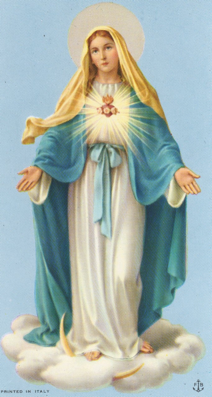 690x1280 Free download - about Blessed Virgin Mary [] for your Desktop, Mobile & Tablet. Explore Holy Mary Wallpaper. Holy Mary Wallpaper, Holy Mary Mother Wallpaper, Wallpaper Holy, Phone