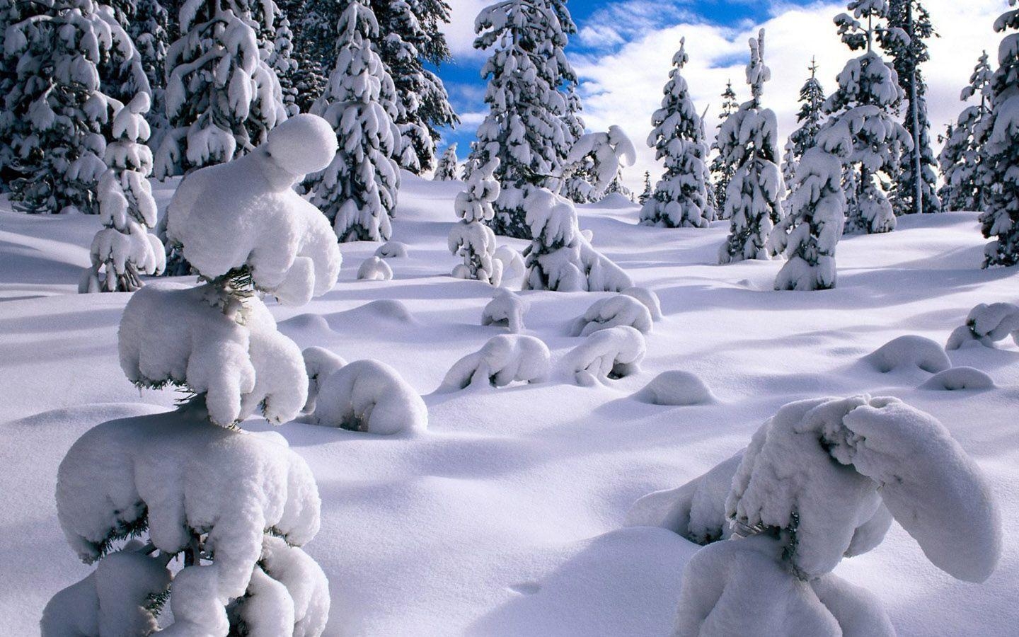 1440x900 Winter wonderland, Dreamy Snow Scene wallpaper  NO.7, Desktop