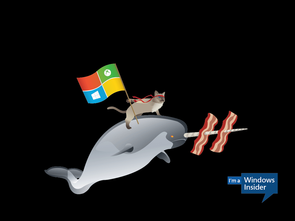 1030x770 Celebrate the Windows 10 'ninjacat' meme with new Microsoft desktop, Desktop