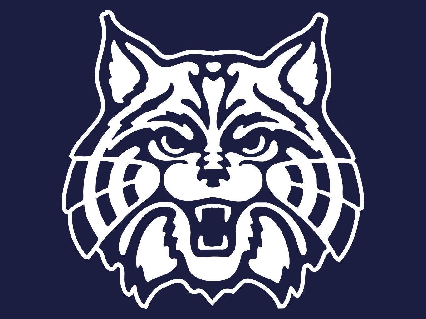 1370x1030 I Am Wildcat Wallpaper, Desktop