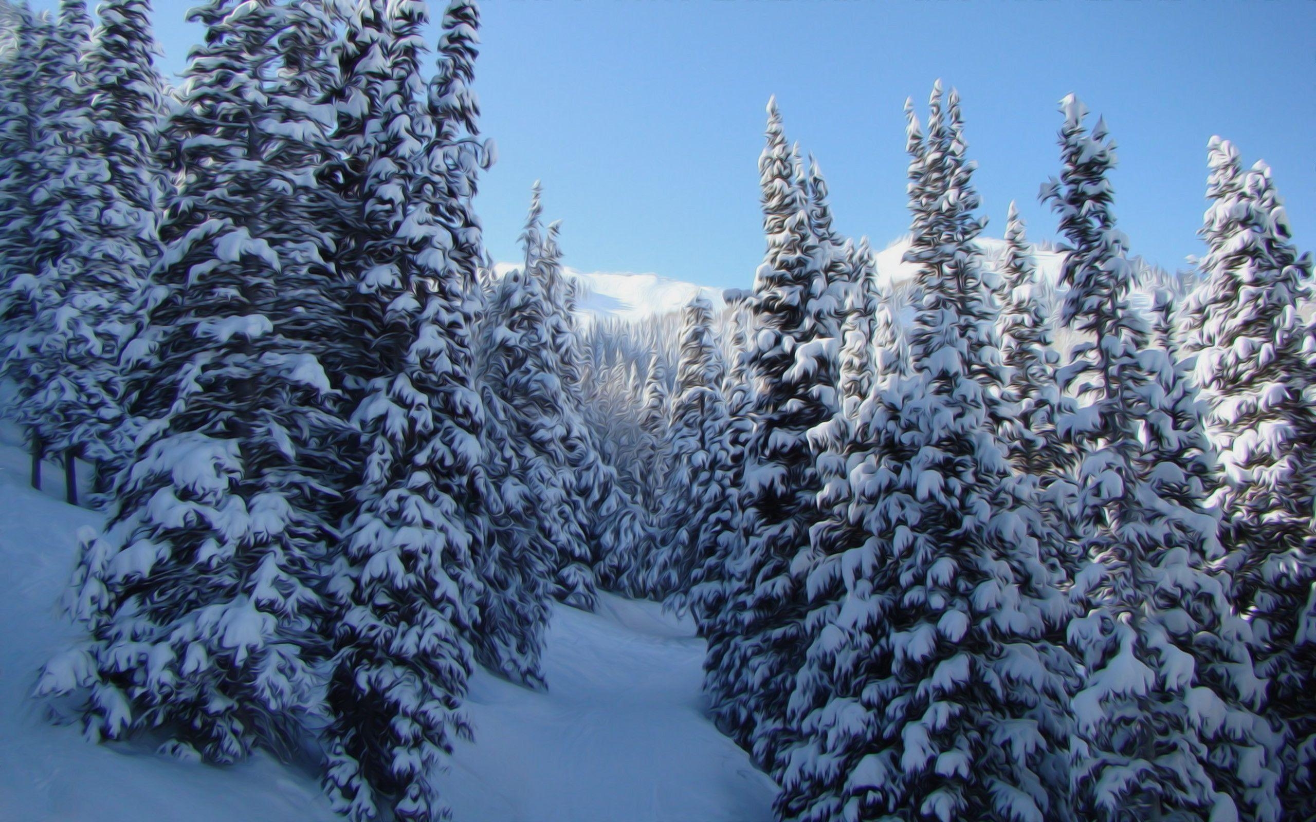 2560x1600 Winter Nature Snow Scene, Desktop