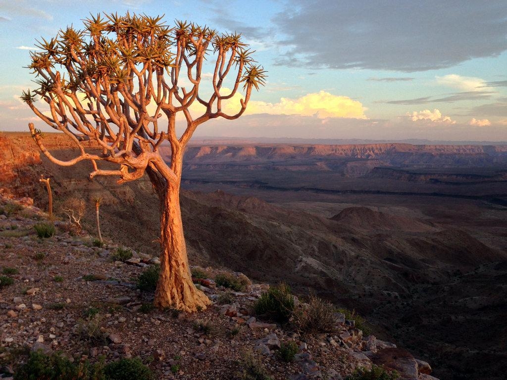 1030x770 Fish River Canyon, Desktop