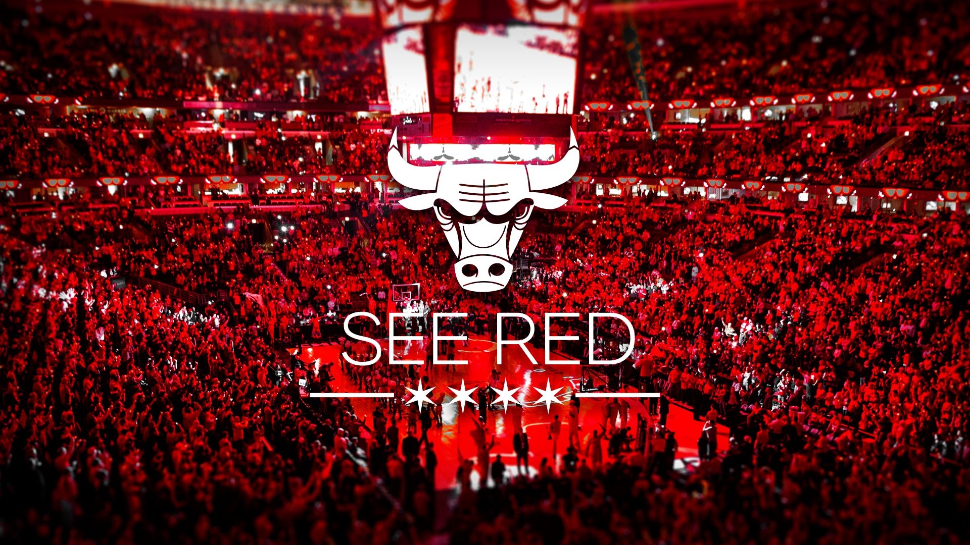 1920x1080 Bulls Desktop Background. Beautiful, Desktop