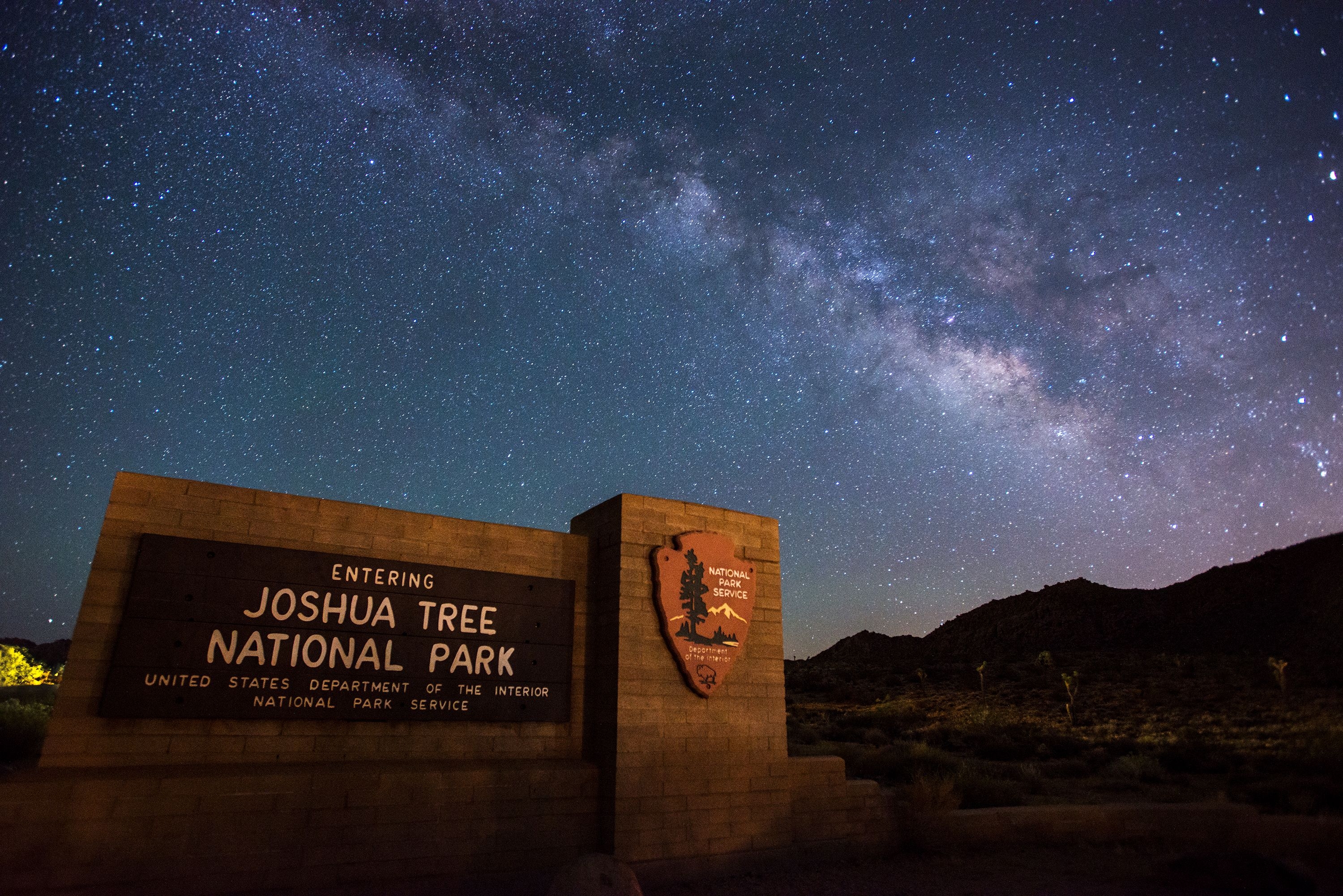 3000x2010 Stargazing Tree National Park (U.S. National Park Service), Desktop