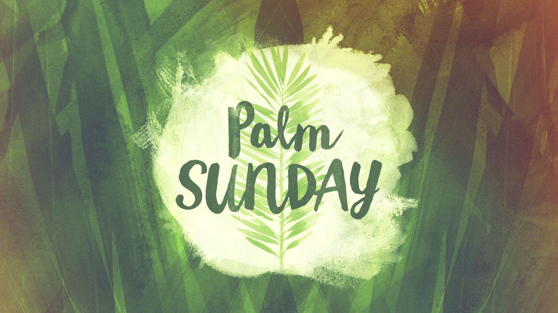 1920x1080 palm sunday image, Desktop