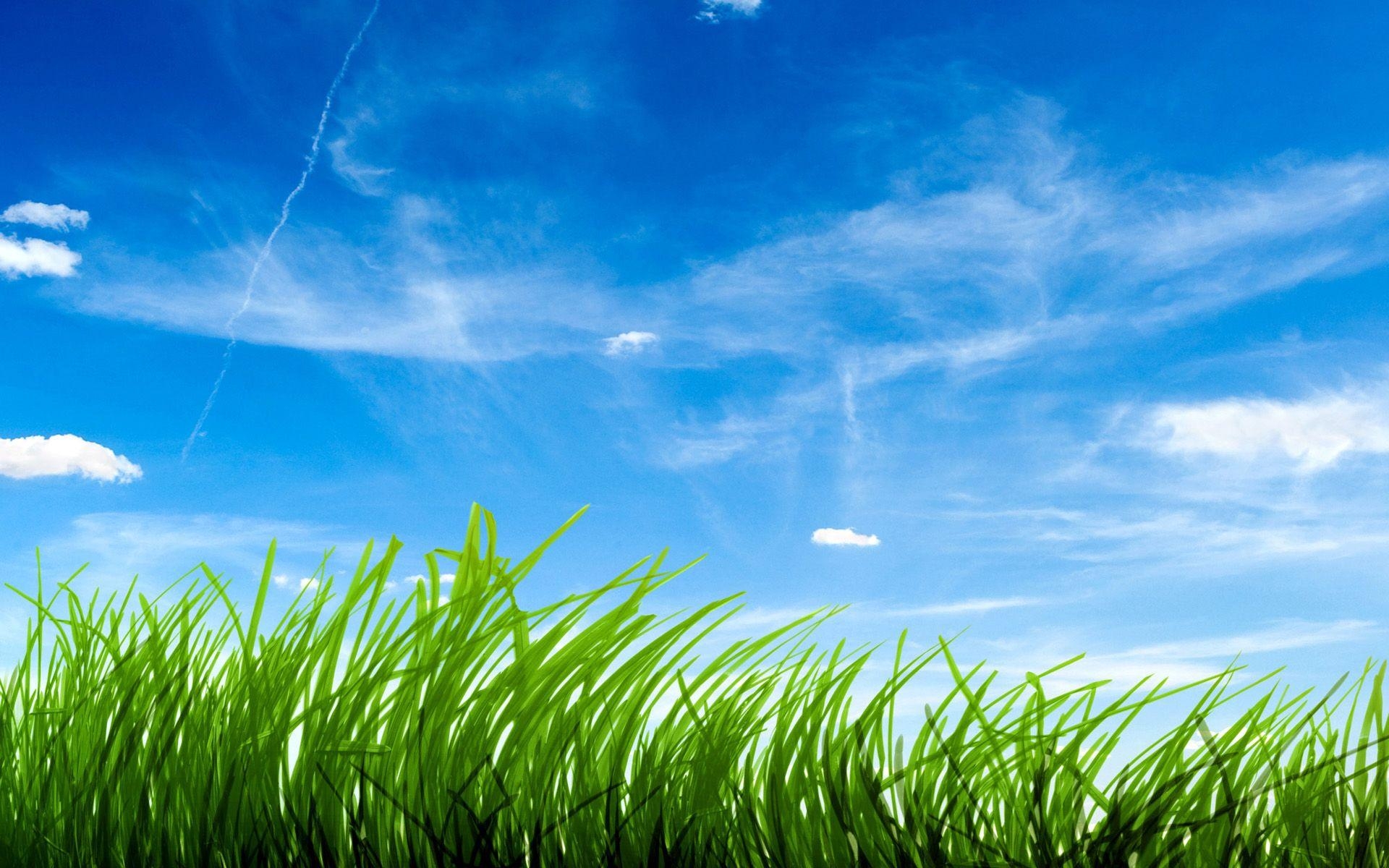 1920x1200 Blue Sky Green Grass Wallpaper, Desktop