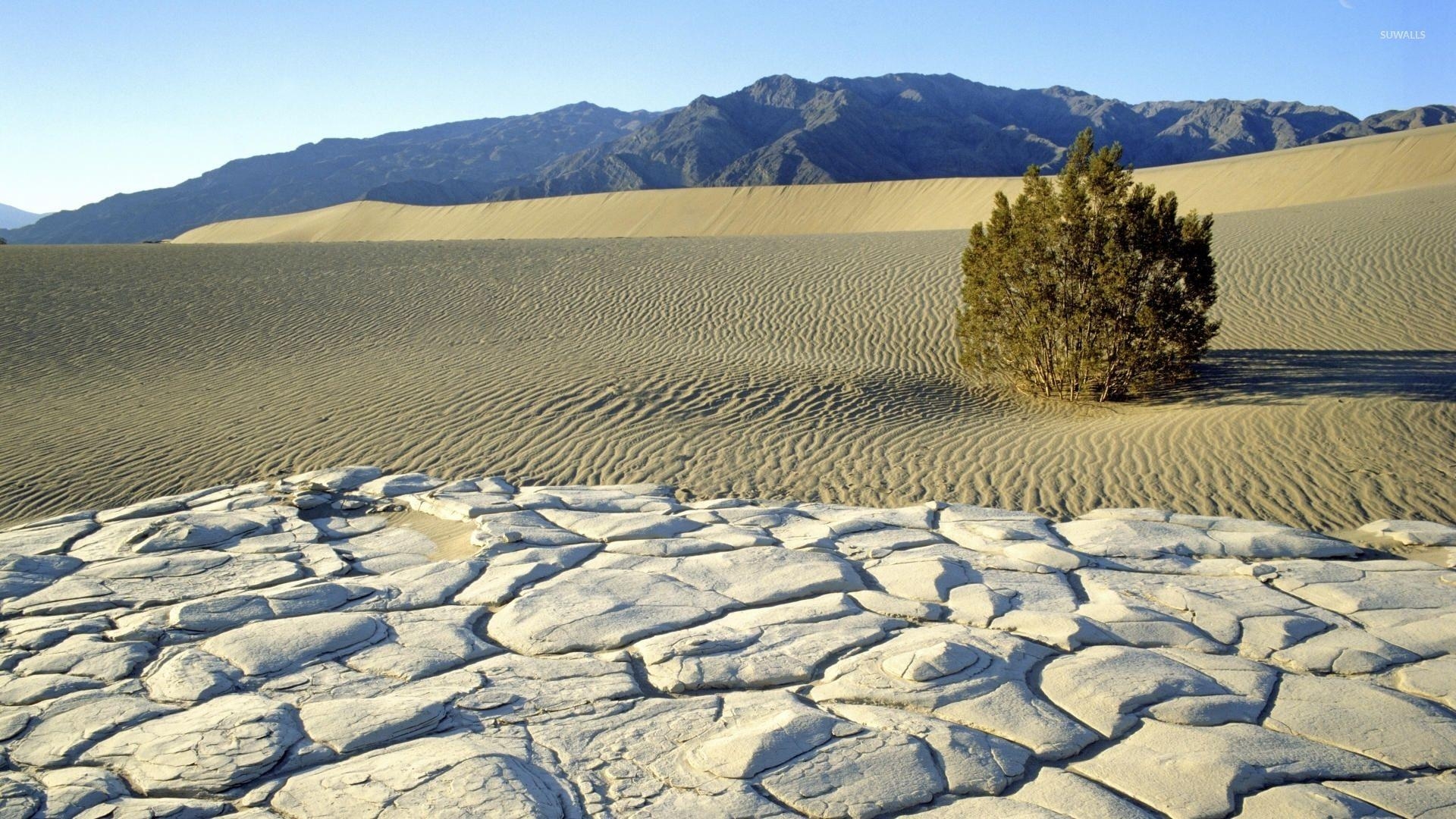 1920x1080 Sunny day in Death Valley National Park wallpaper, Desktop