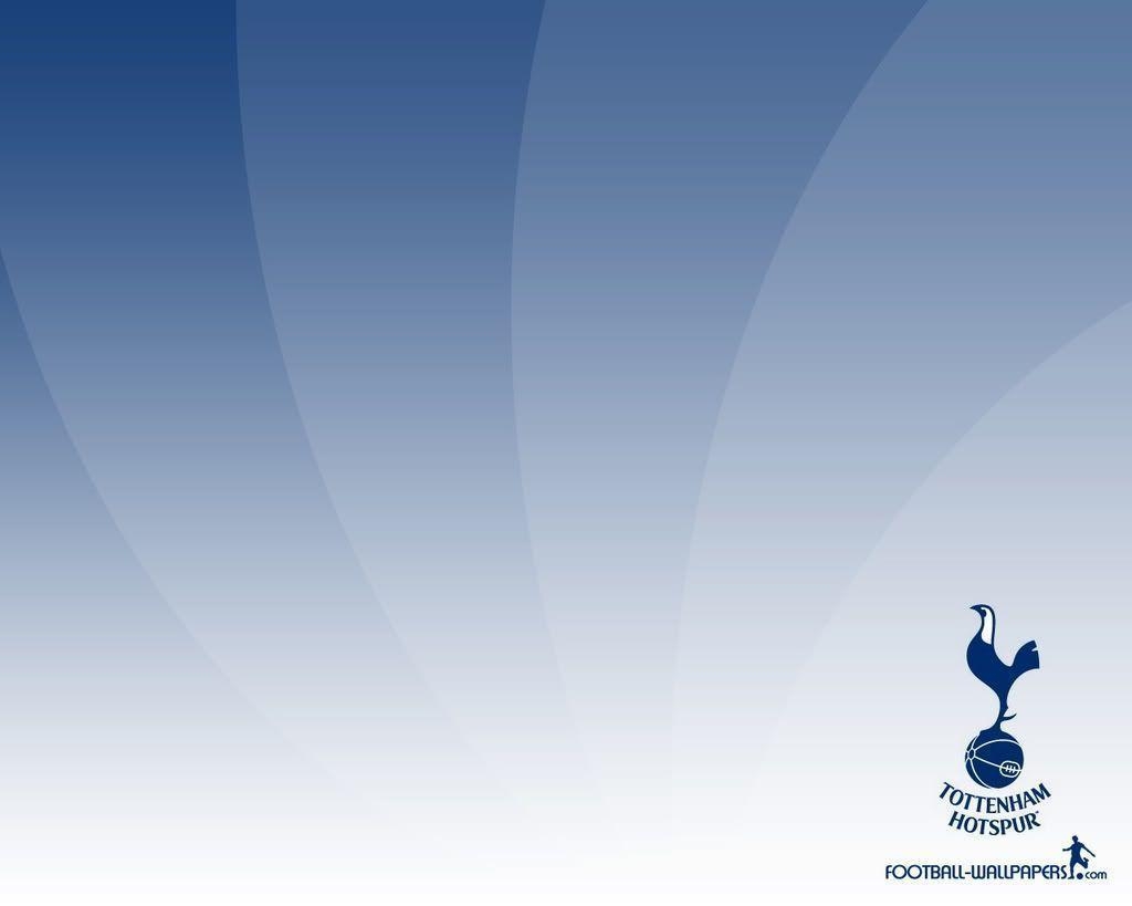 1030x820 tottenham hotspur, Desktop