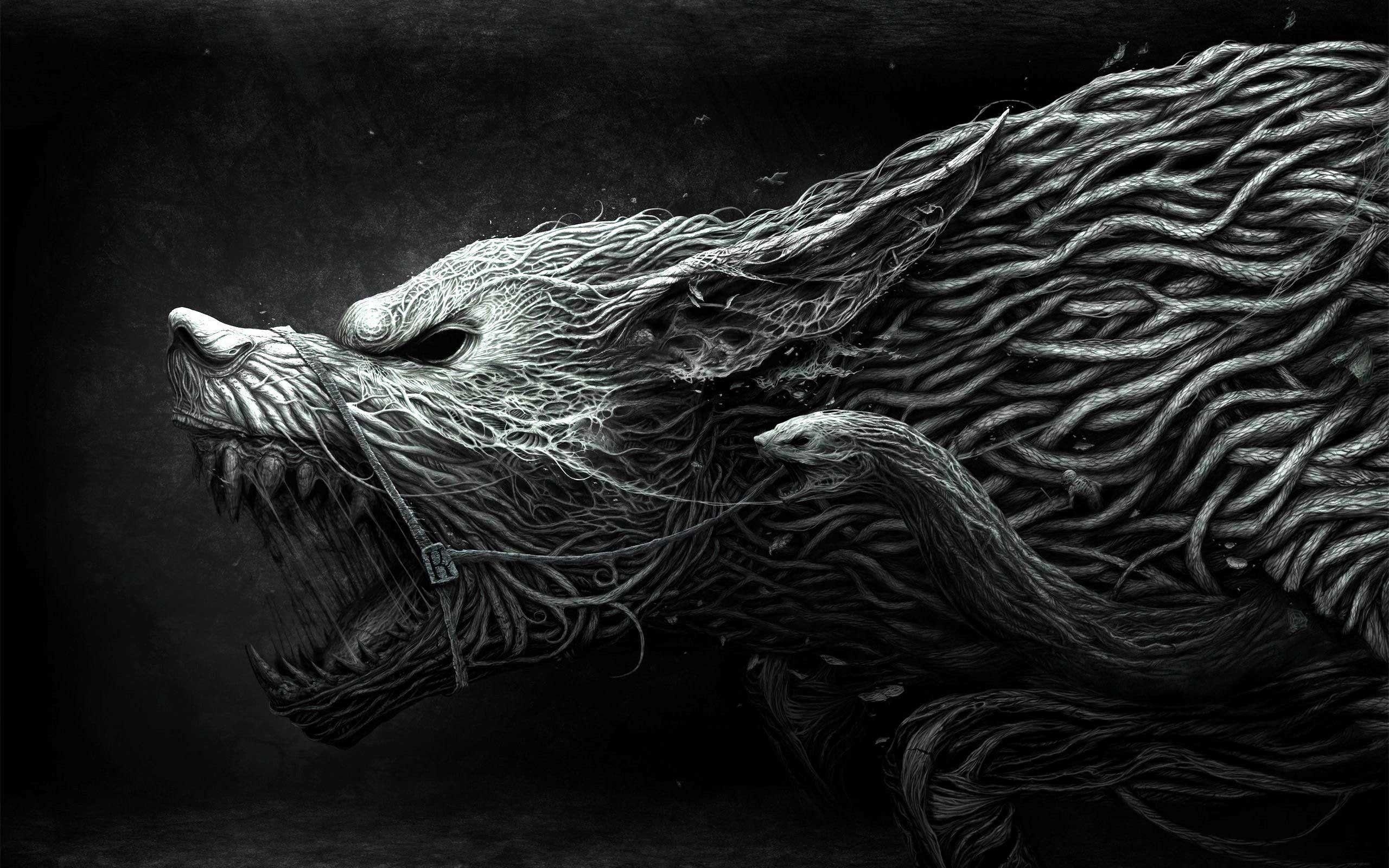 2560x1600 Wallpaper For > Black Wolf Wallpaper Widescreen, Desktop