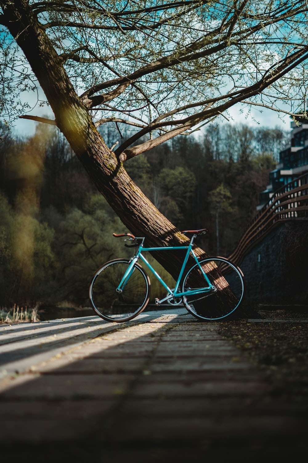 1000x1500 Fixie Picture. Download Free Image, Phone