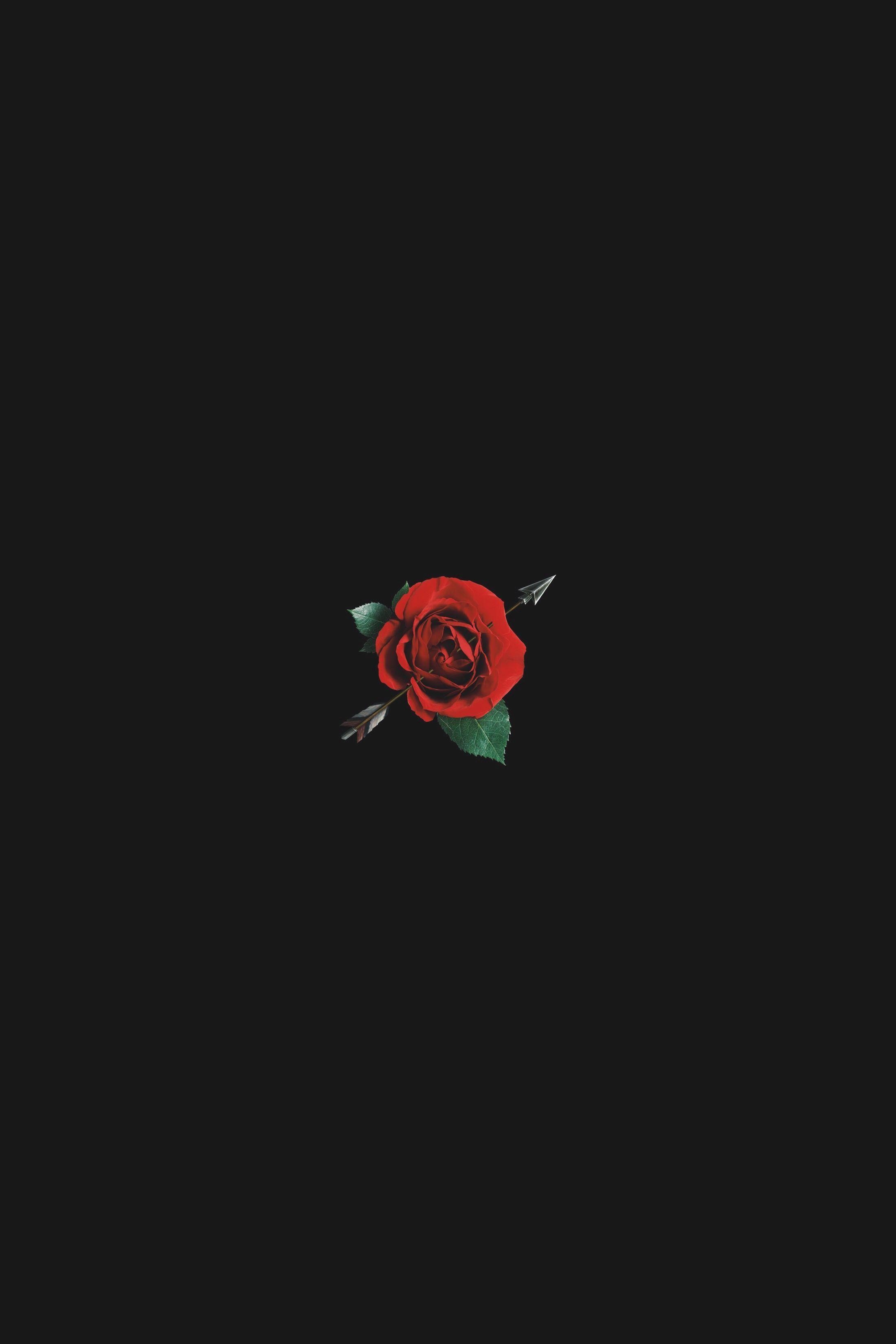 2200x3300 Black Rose Aesthetic Wallpaper Free Black Rose Aesthetic, Phone