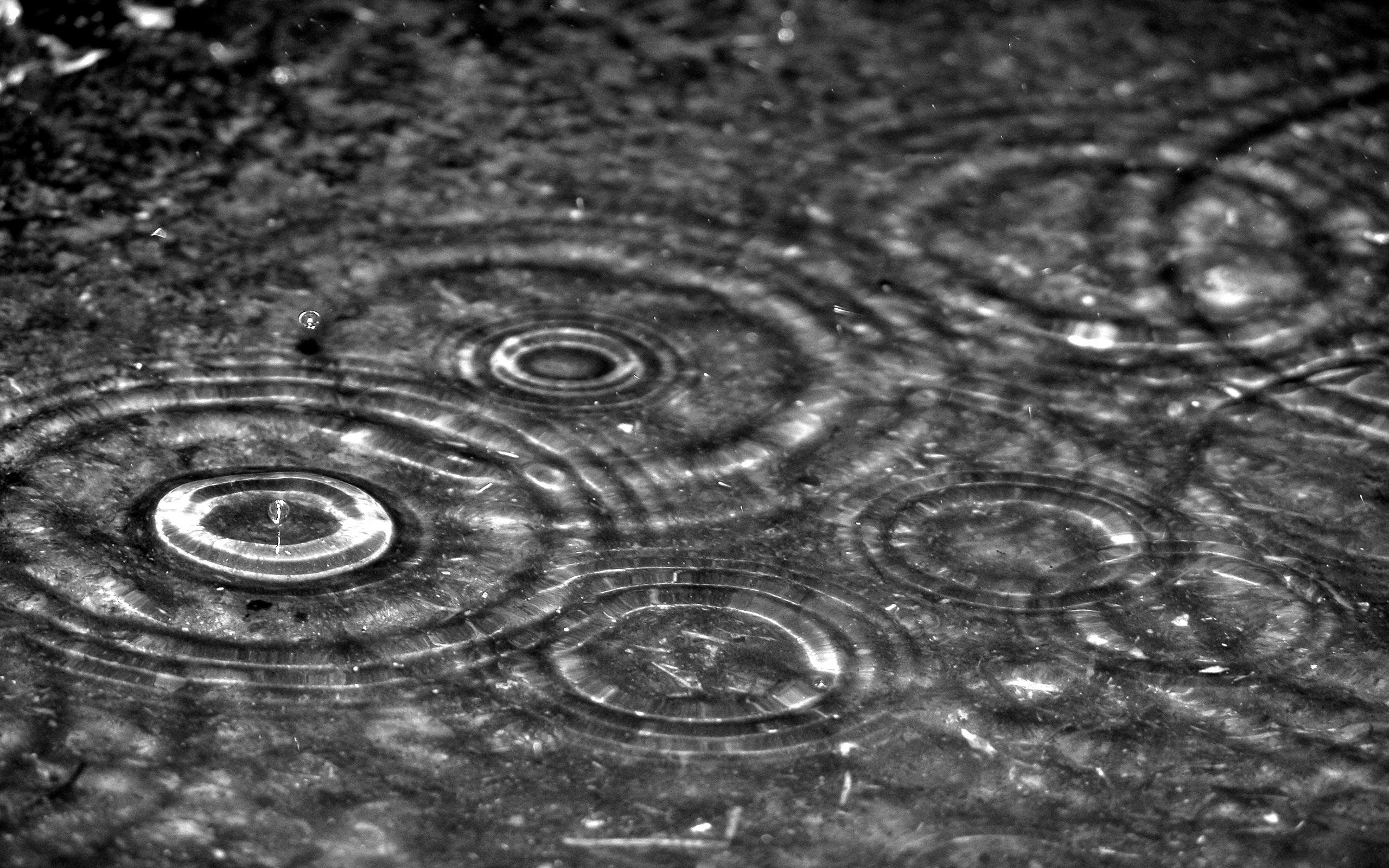 2560x1600 Raindrop Wallpaper Full HD, Desktop