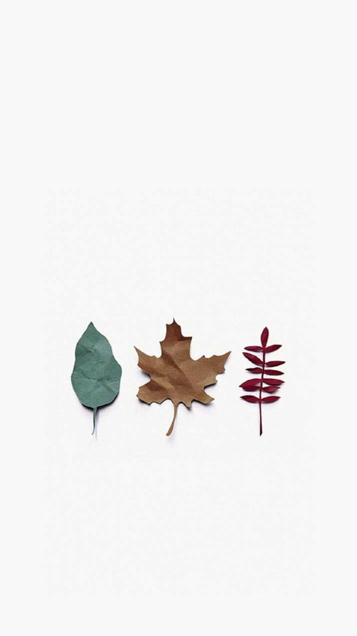 720x1280 Autumn iphone wallpaper, Phone