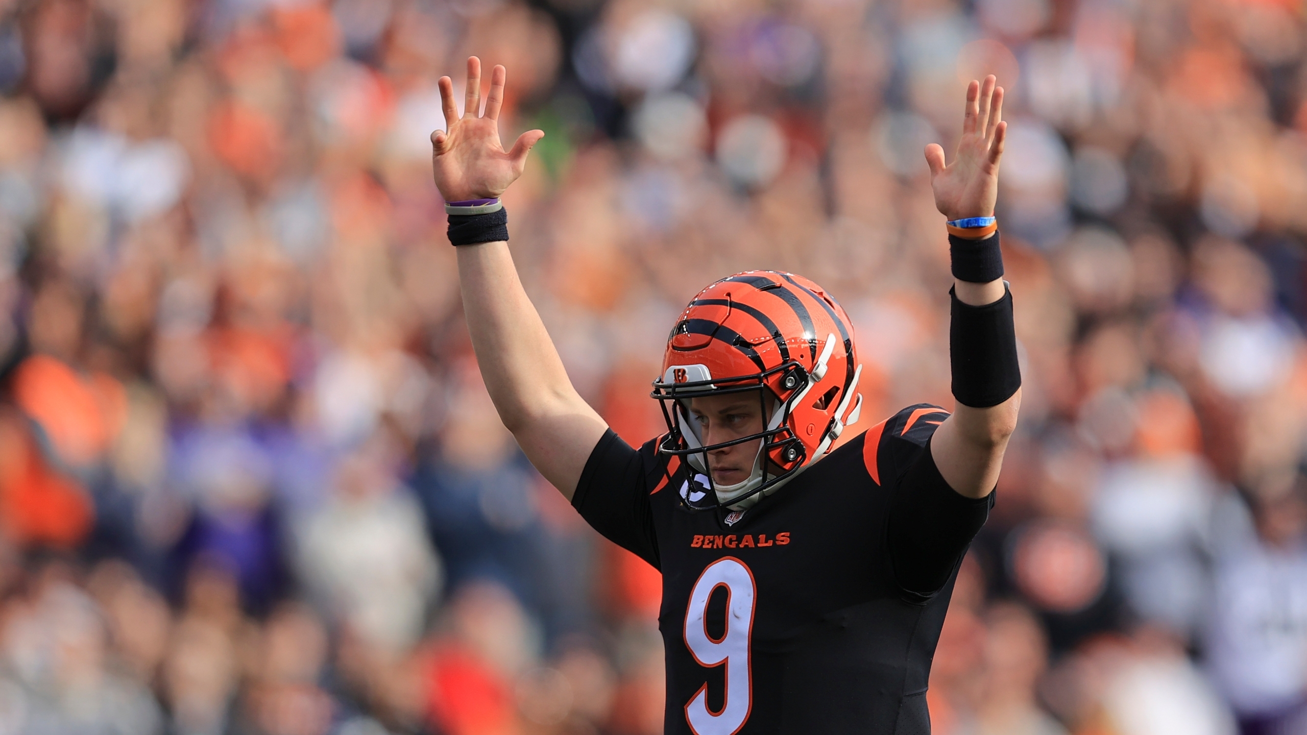 2560x1440 Burrow's 525 Yards, 4 TDs Power Bengals Past Ravens 41 21, Desktop