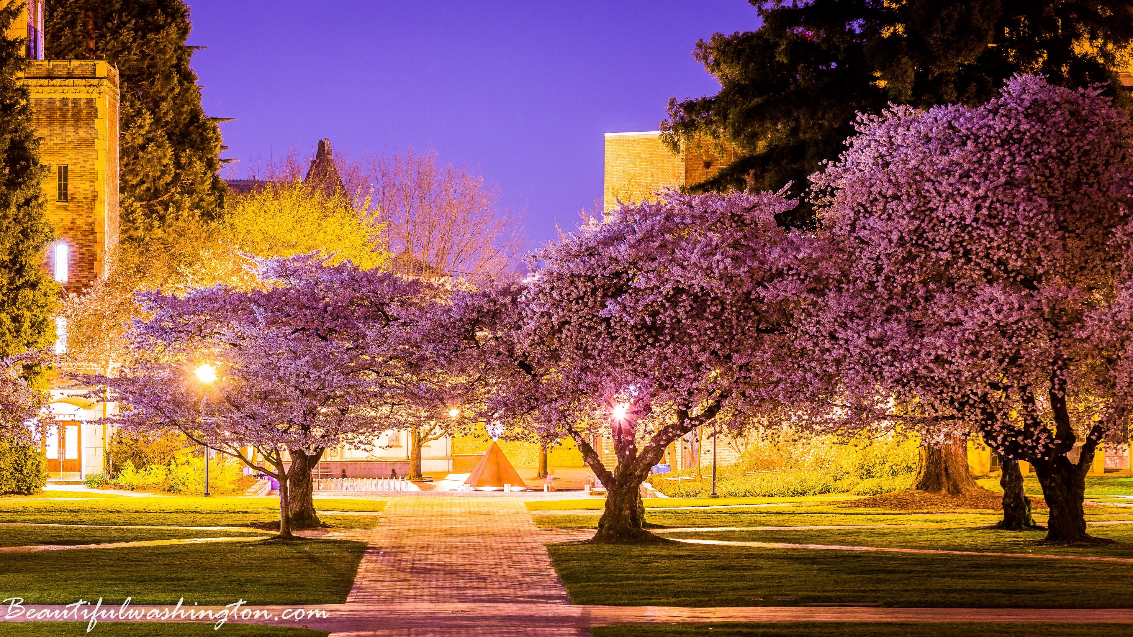 3840x2160 University of Washington, Desktop