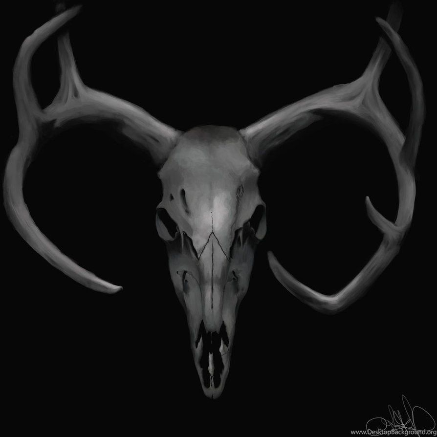 900x900 Jestingstock.com Deer Skull Wallpaper Desktop Background, Phone