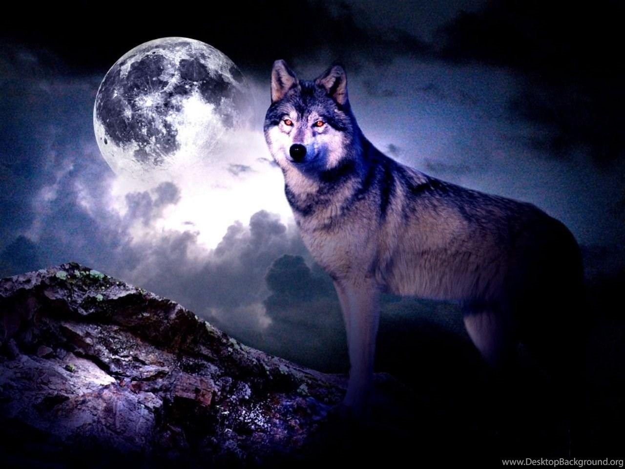 1280x960 Wolf Howling At The Moon Wallpaper Wolf Moon Wallpaper 11056 HD, Desktop