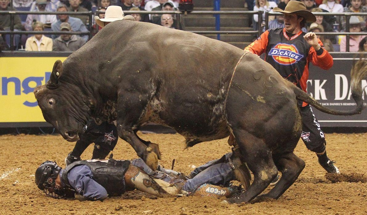 1200x700 Bull riding bullrider rodeo western cowboy extreme cow 36, Desktop