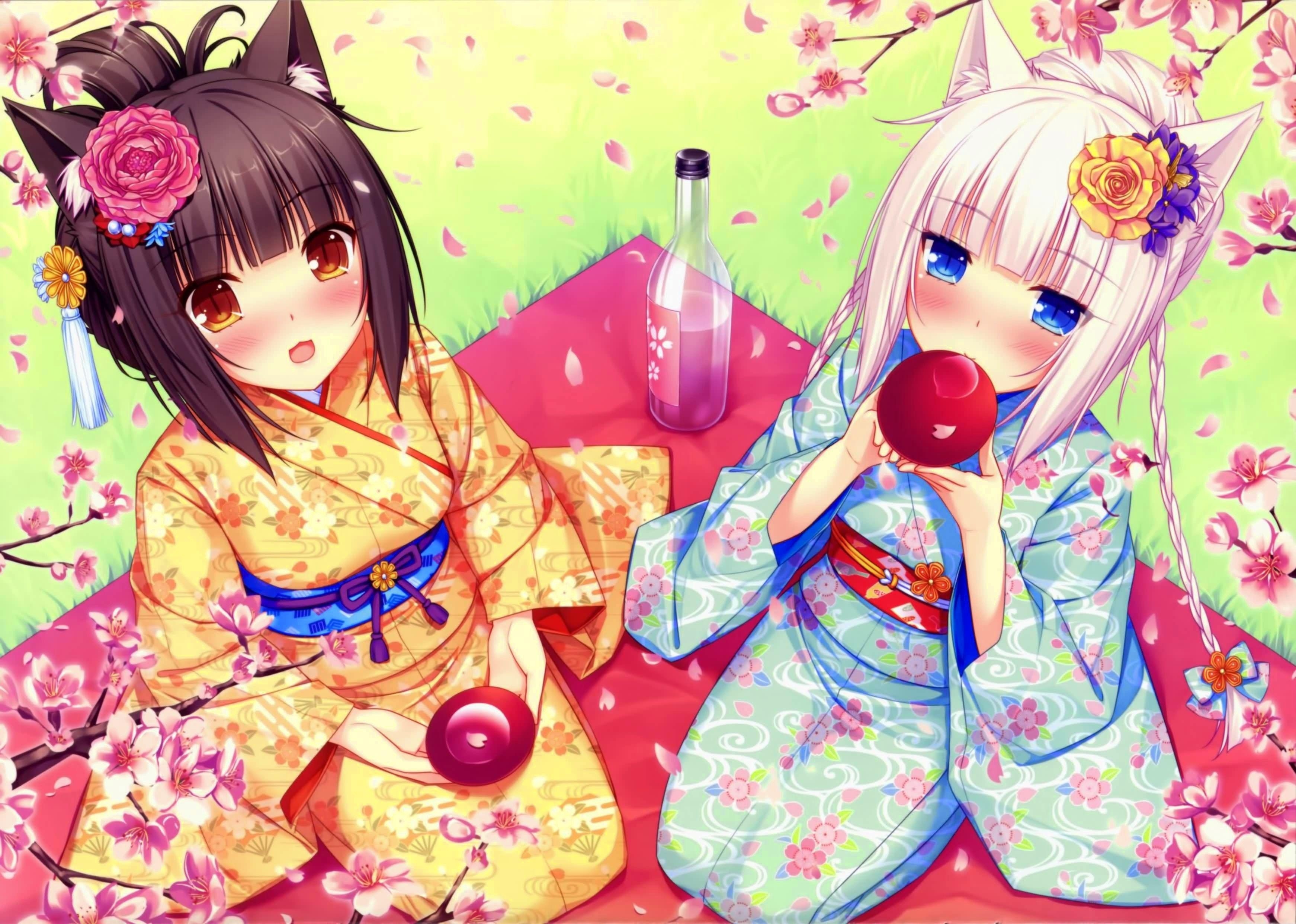 3490x2490 Anime girl on a picnic, Neko Para wallpaper and image. Neko, Desktop