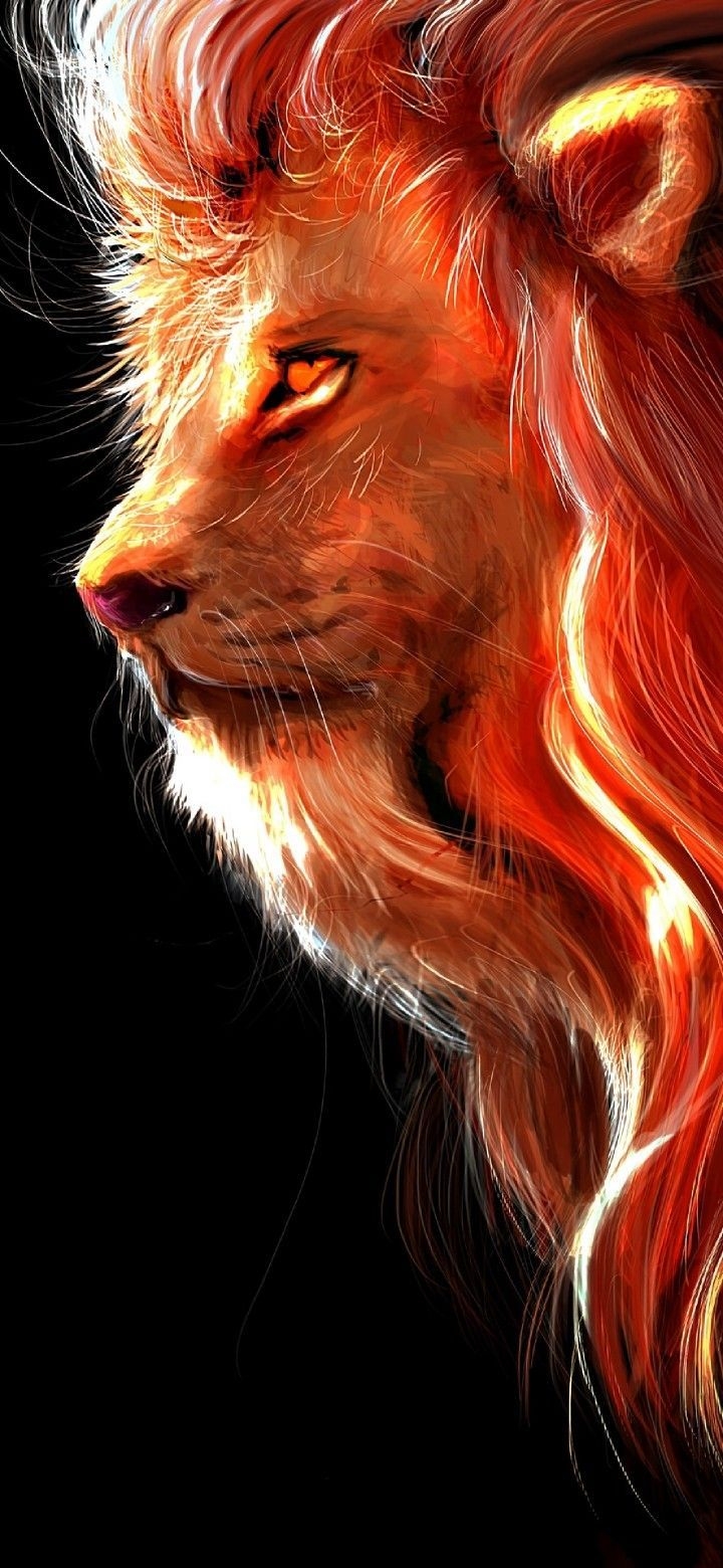 720x1560 Lion wallpaper. Lion wallpaper, Lion live wallpaper, Lion art, Phone