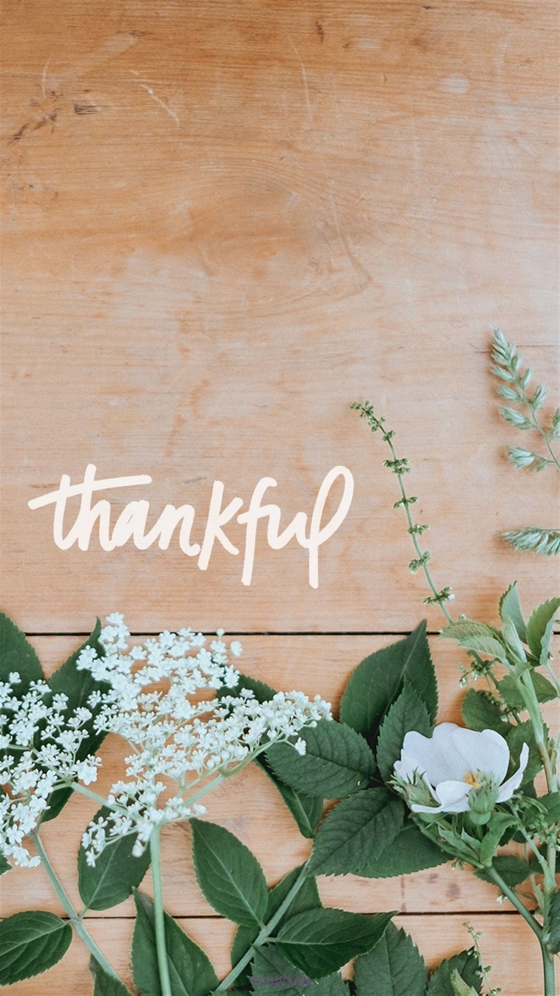 1100x1960 Thankful Wallpaper and Mobile Background. Phone wallpaper quotes, Worship wallpaper, Scripture wallpaper, Phone