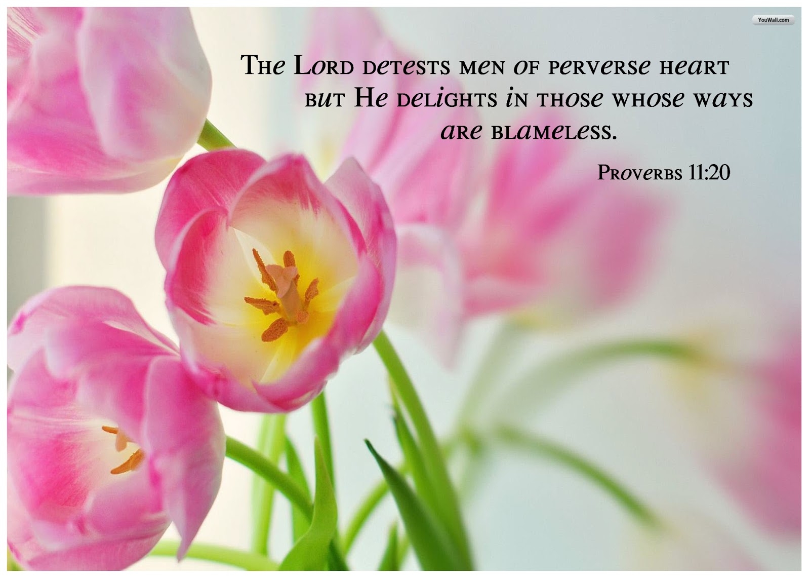 1600x1150 This Is Me: Book of Proverbs Wallpaper (3), Desktop