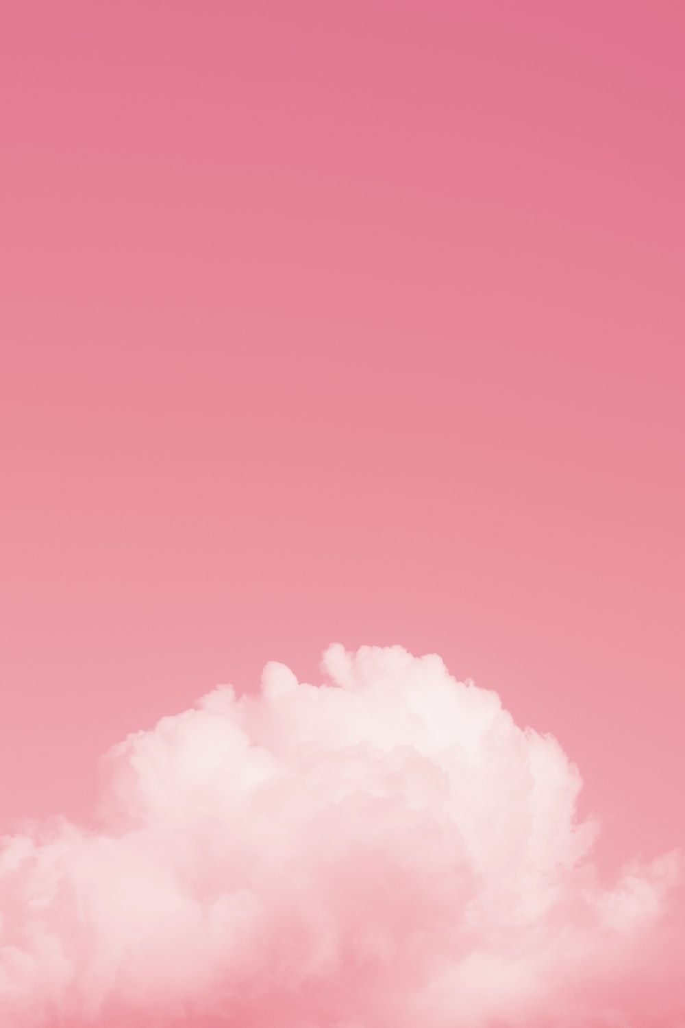 1000x1500 Pink Wallpaper: Free HD Download [HQ], Phone