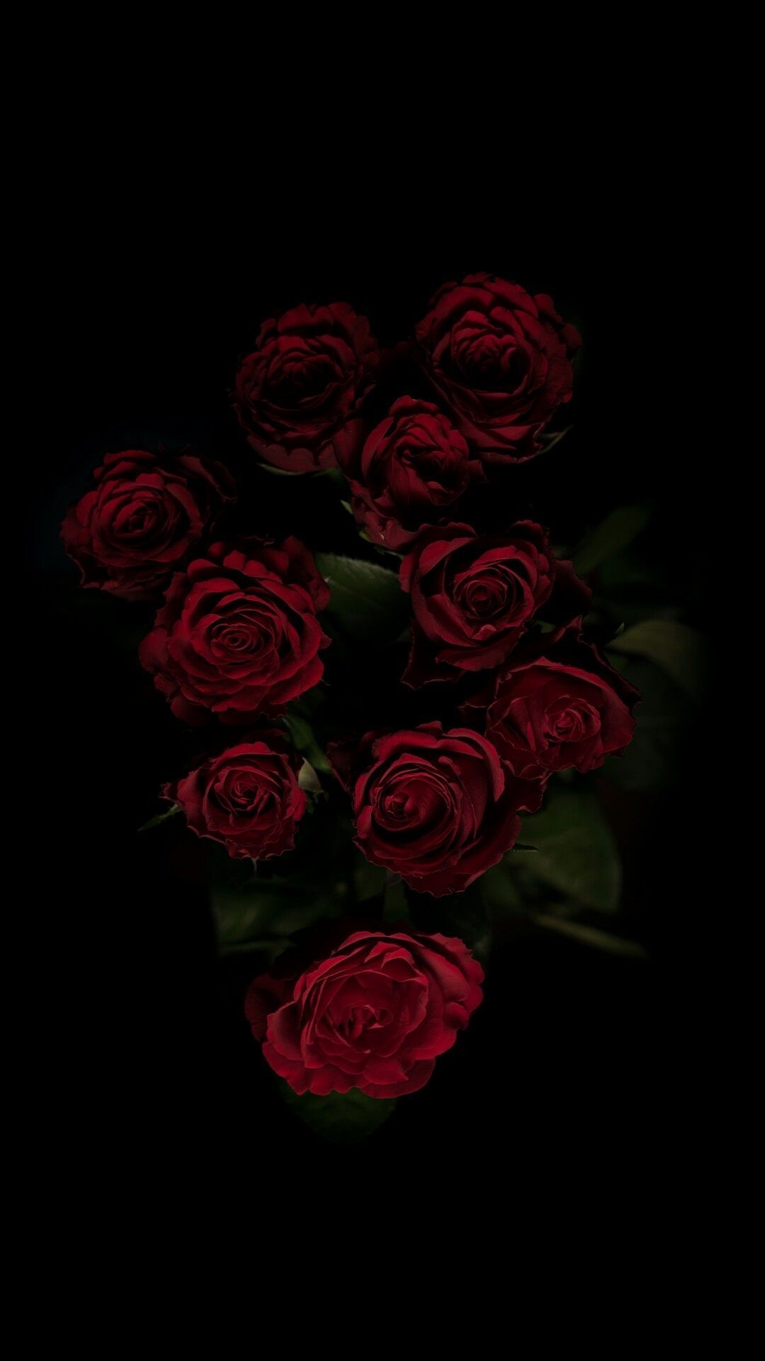 1080x1920 Dark Roses Wallpaper, Phone