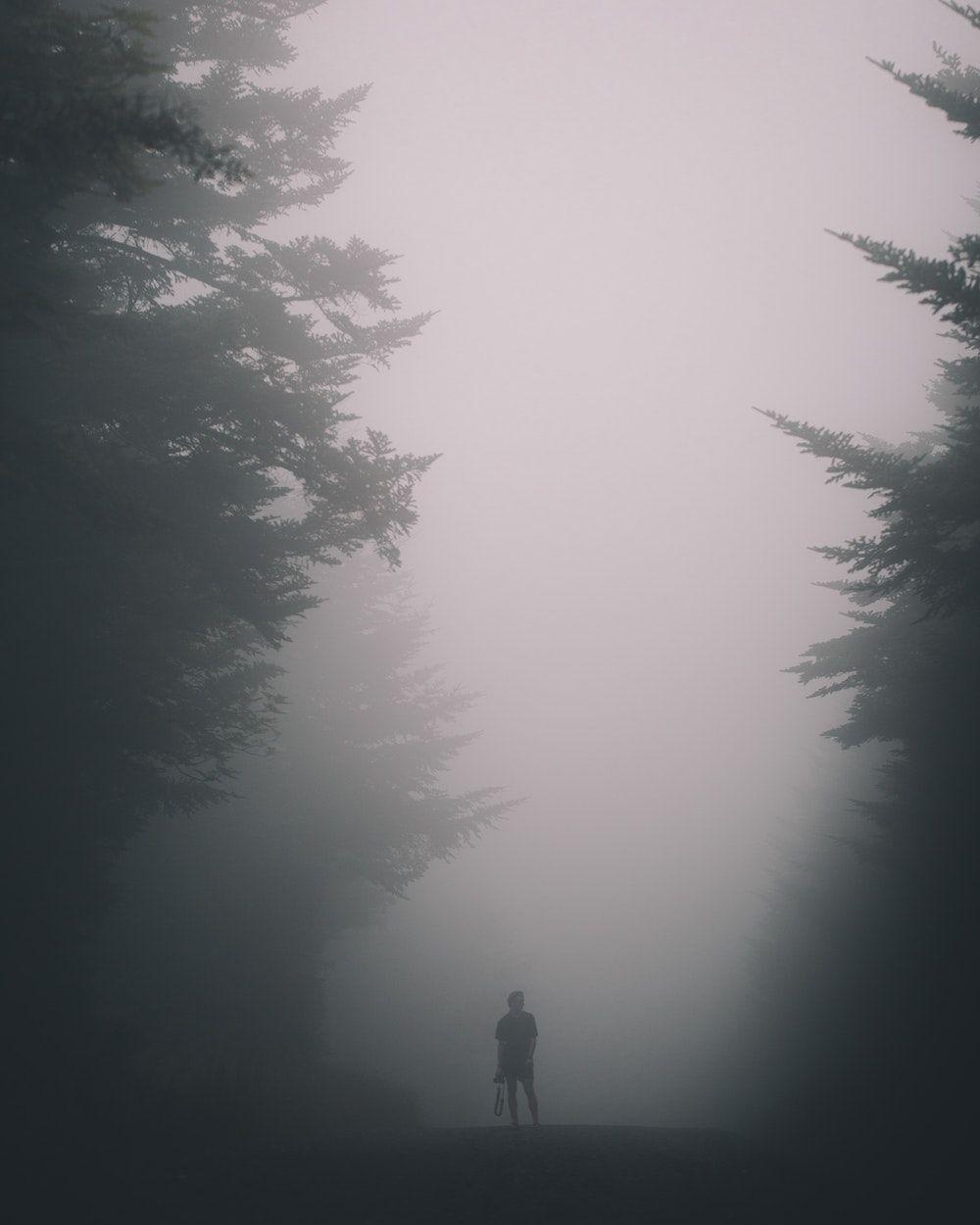 1000x1250 Foggy Picture. Download Free Image, Phone