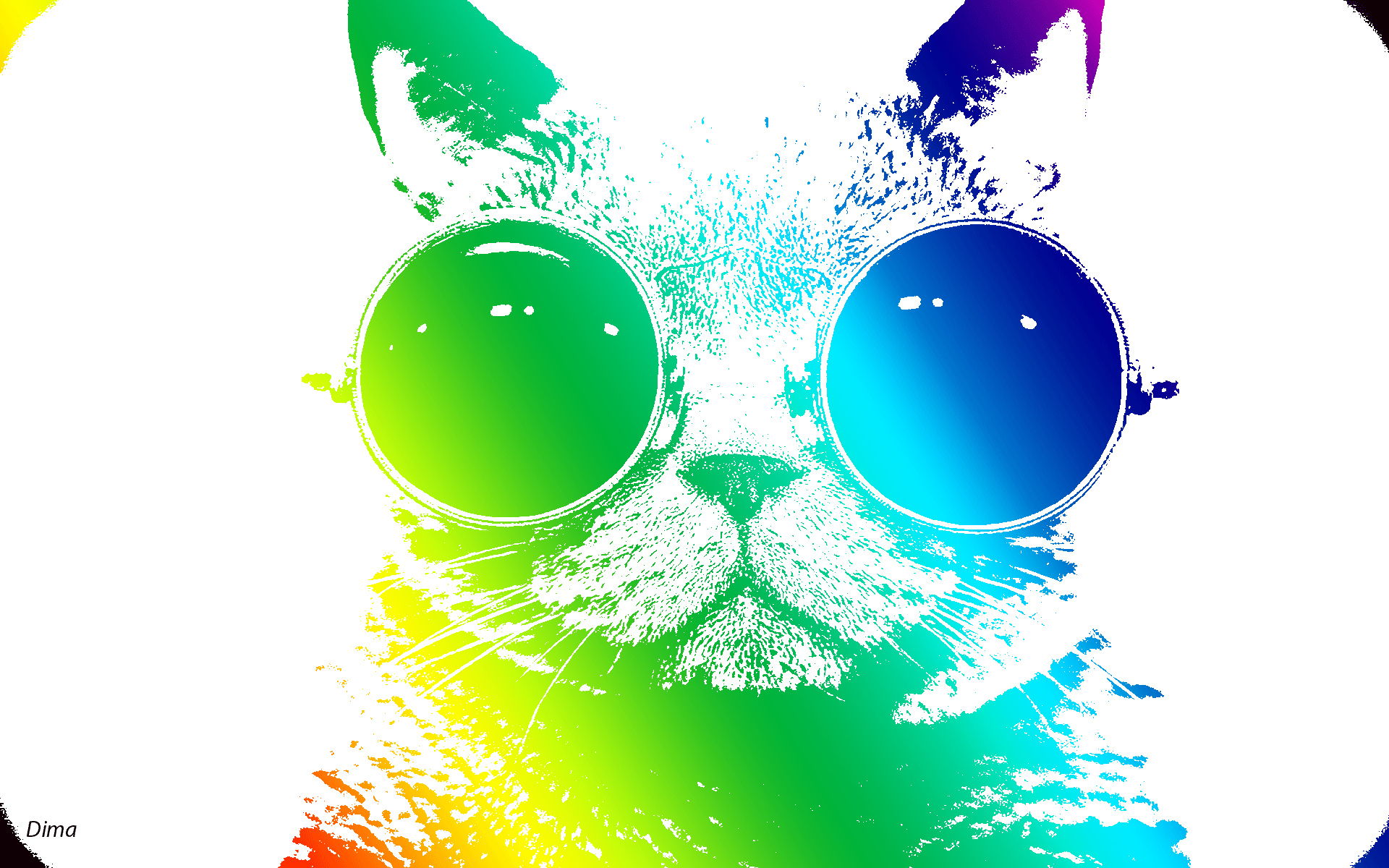 1920x1200 Cool Cat Wallpaper, Desktop