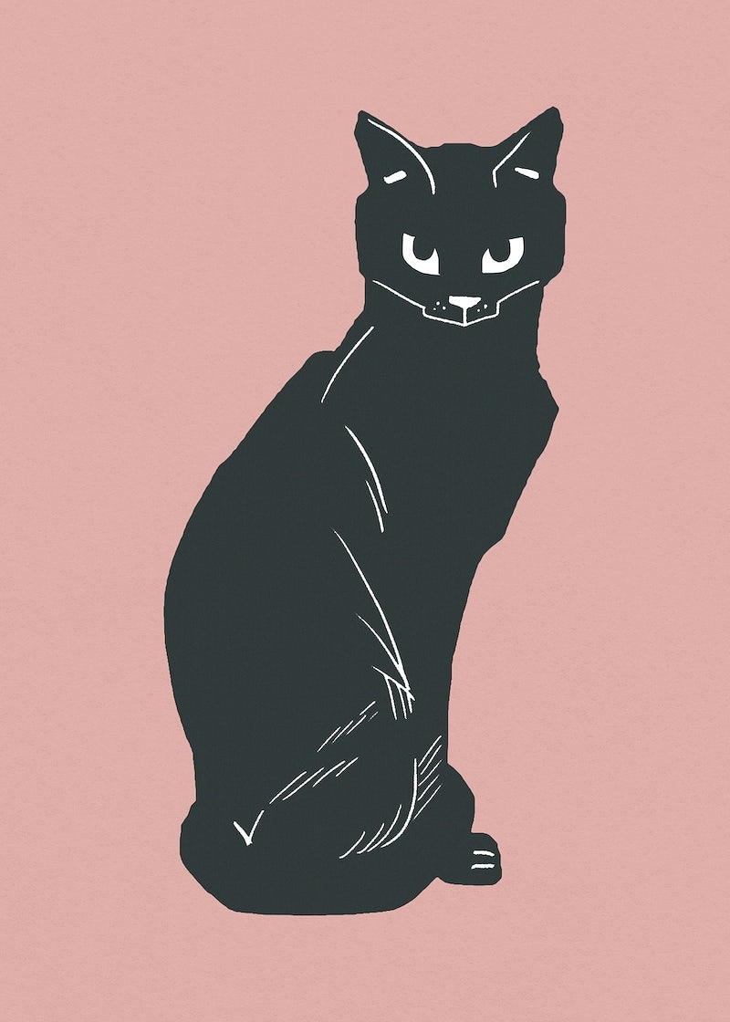 800x1120 Black Cat Image Wallpaper, Phone