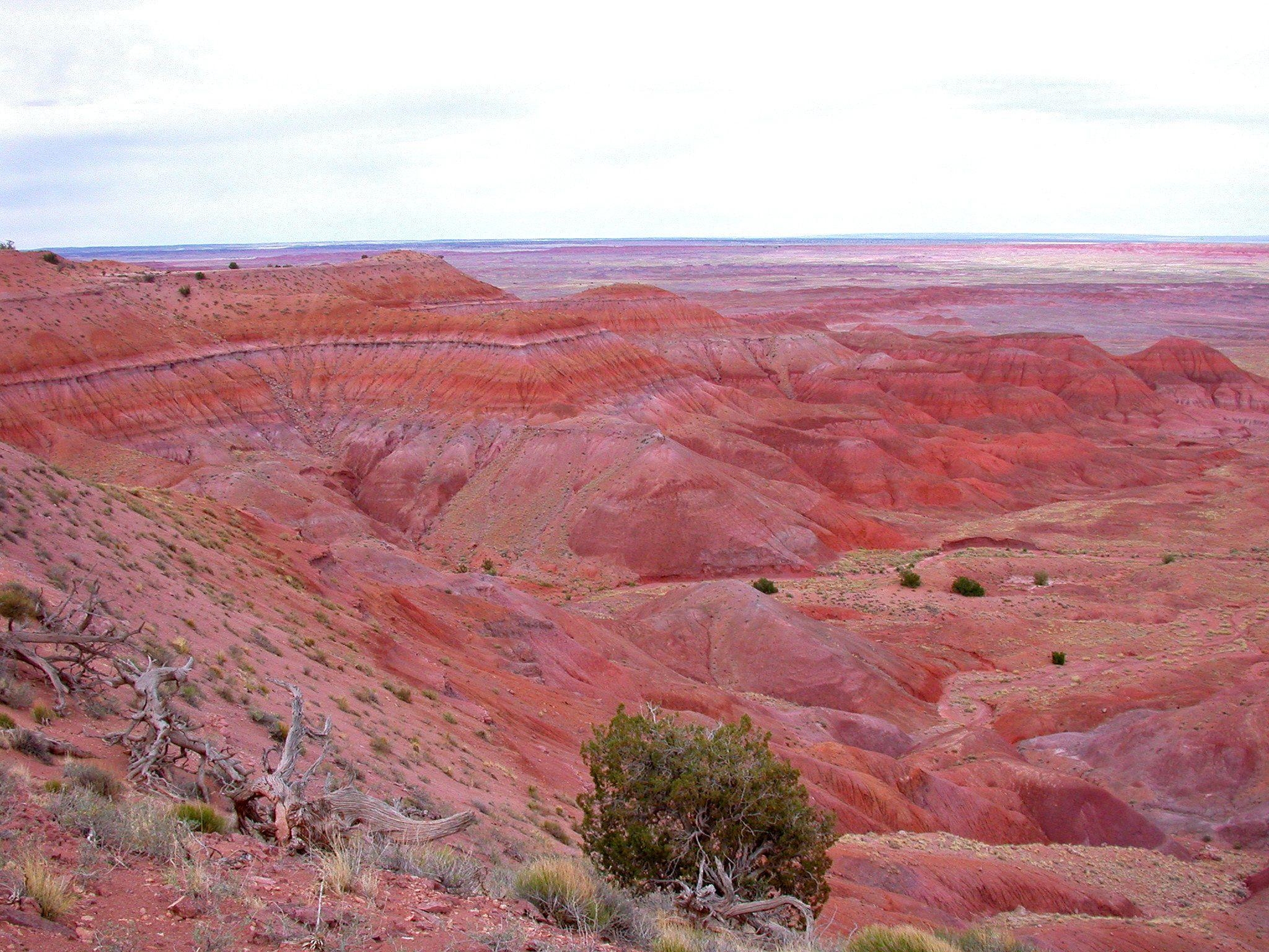 2050x1540 Petrified Forest National Park, Arizona. Petrified forest, Desktop