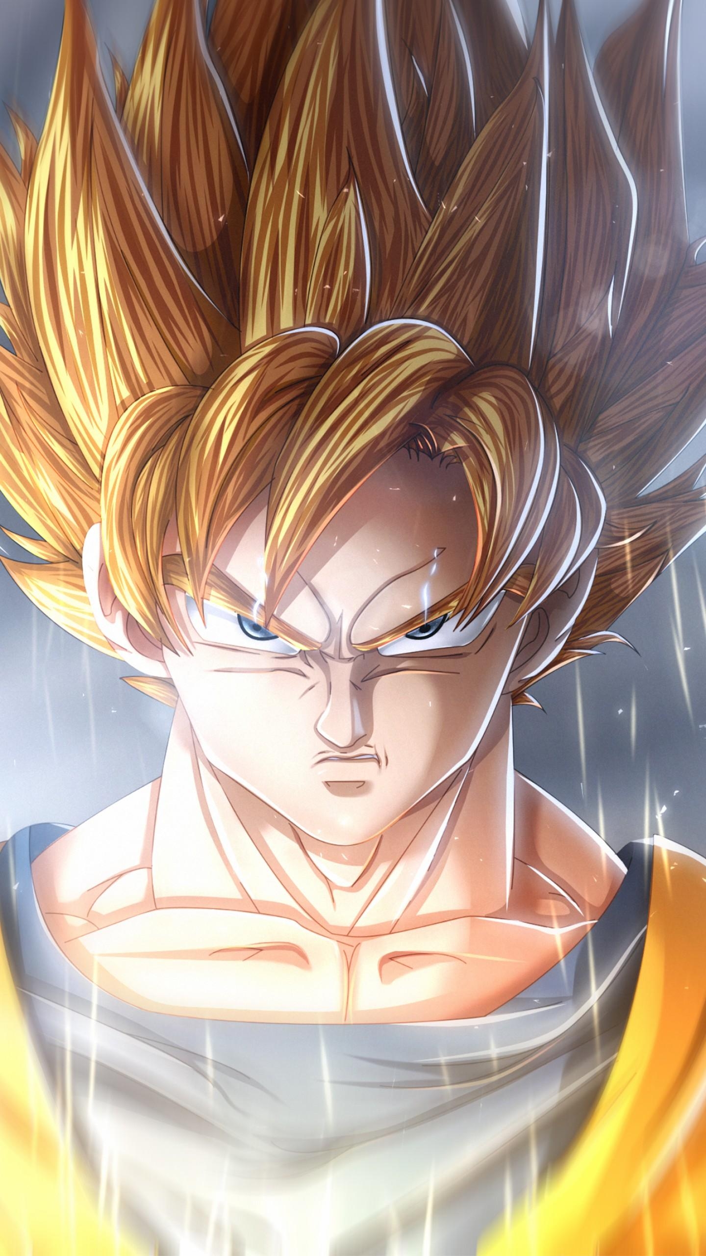 1440x2560 Wallpaper Goku, Dragon Ball, HD, Anime, Phone