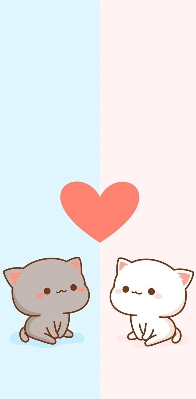 630x1280 Mochi Peach Cat wallpaper, Phone