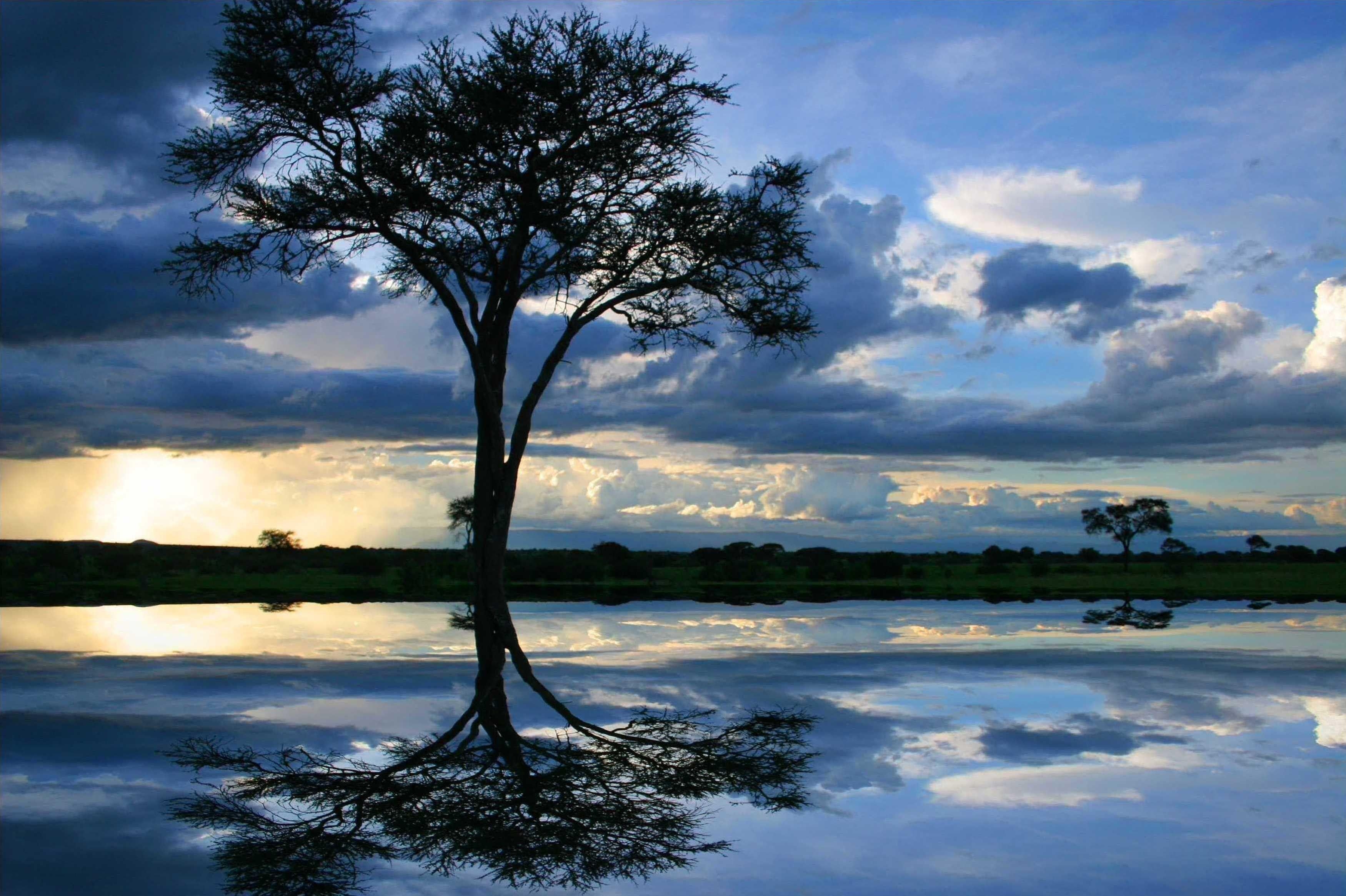 3500x2340 Lake: Africa Water Tanzania Blue Tree Landscape Lake Wallpaper, Desktop