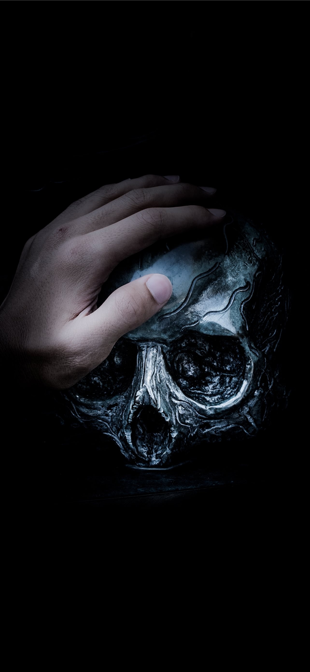 1290x2780 Latest Skull iPhone HD Wallpaper, Phone