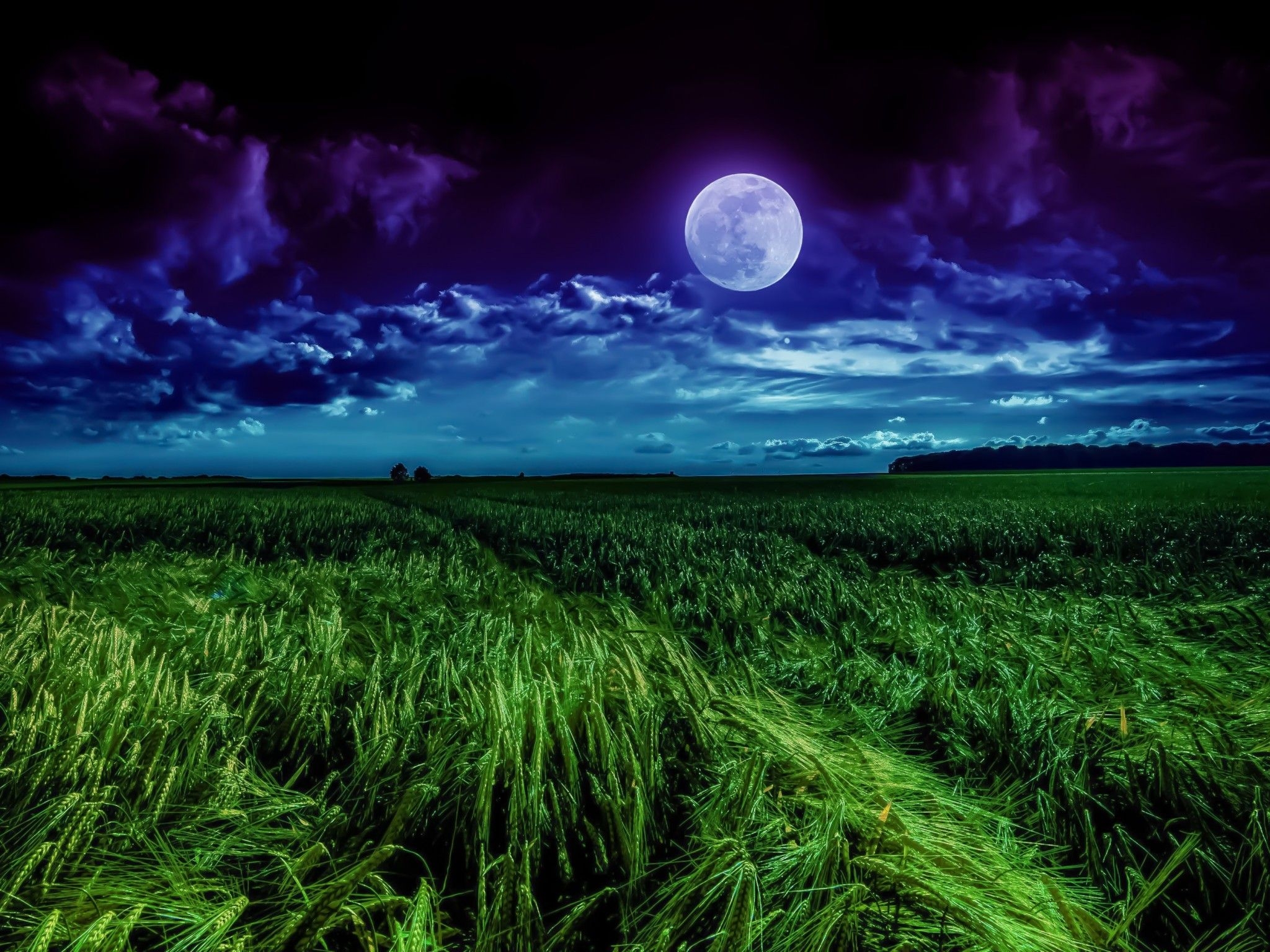 2050x1540 Moon 4K Wallpaper, Landscape, Night, Field, Cloudy, Nature, Desktop