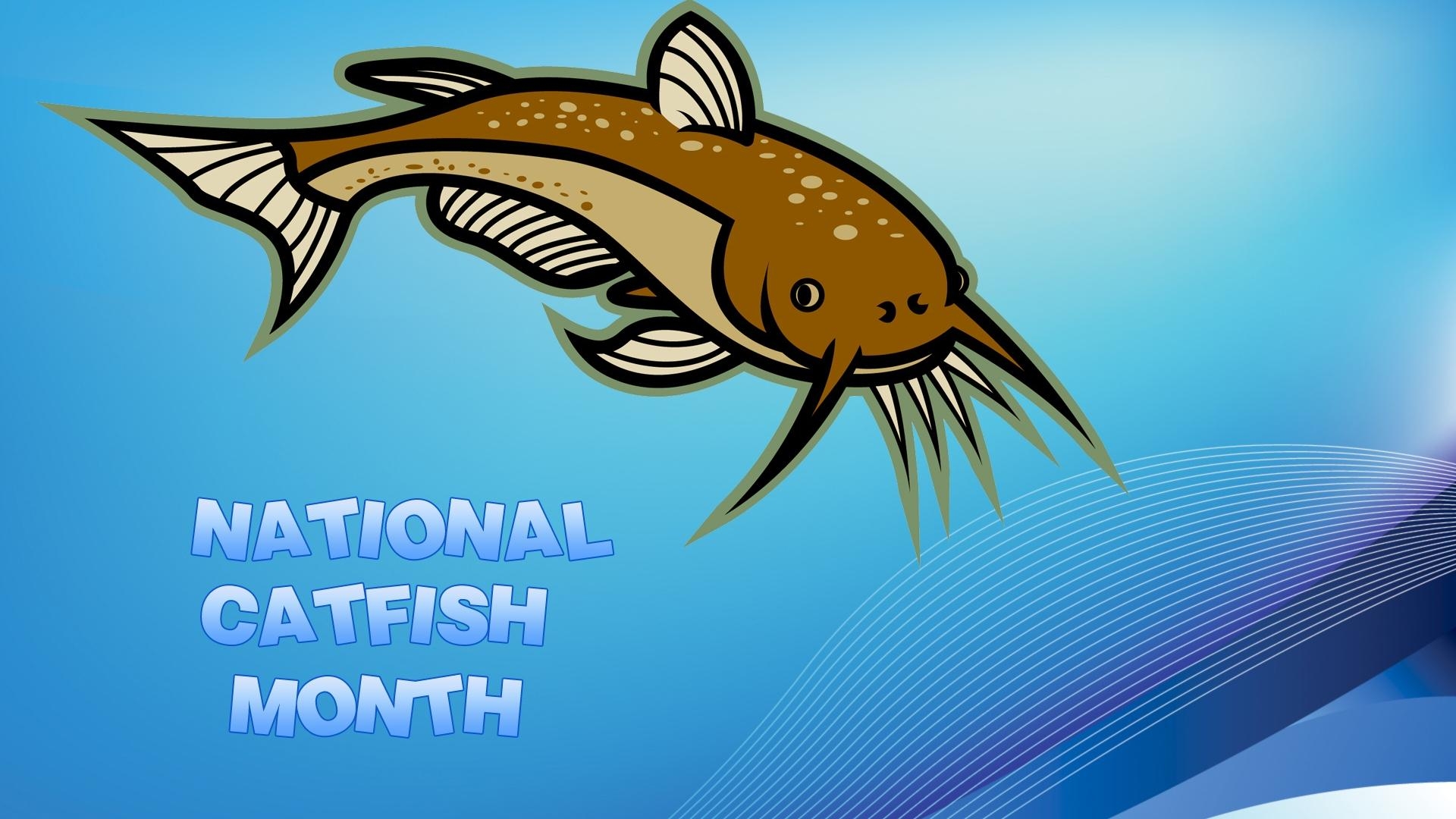 1920x1080 Free download National Catfish Month computer desktop, Desktop