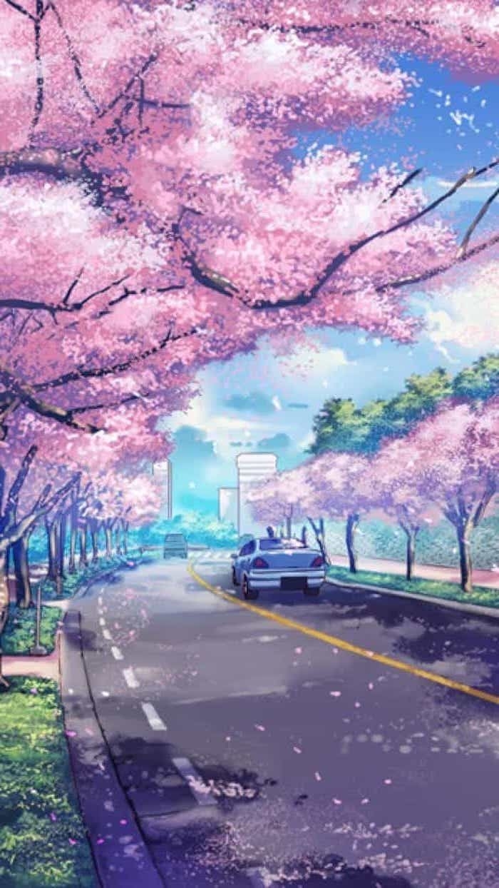 700x1250 Anime Spring Wallpaper Free Anime Spring Background, Phone