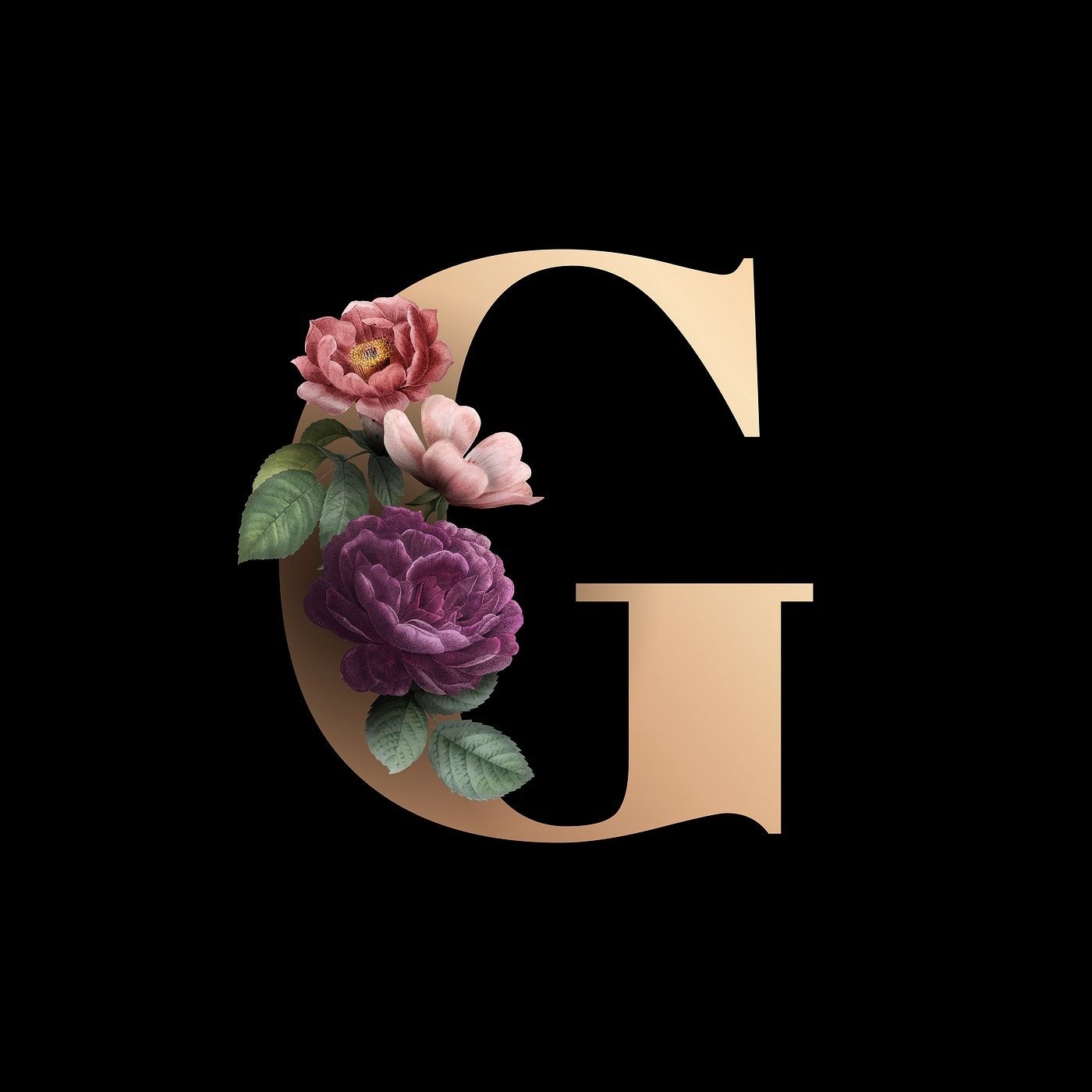 1400x1400 Classic and elegant floral alphabet font letter G vector. free image by rawpixel.com. Lettering alphabet fonts, Lettering fonts, Fonts alphabet, Phone