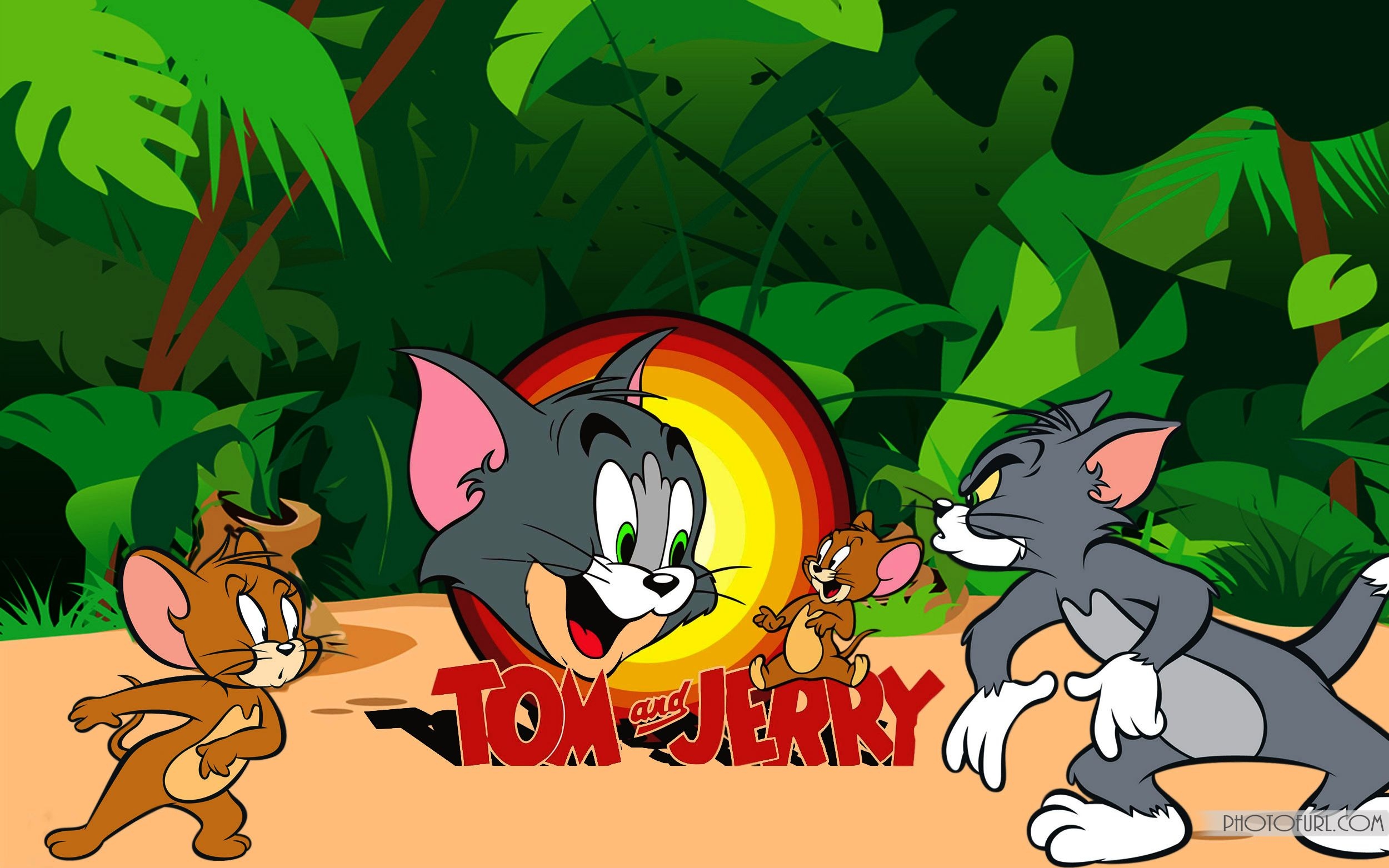 2500x1570 Funny Tom and Jerry Wallpaper, Desktop