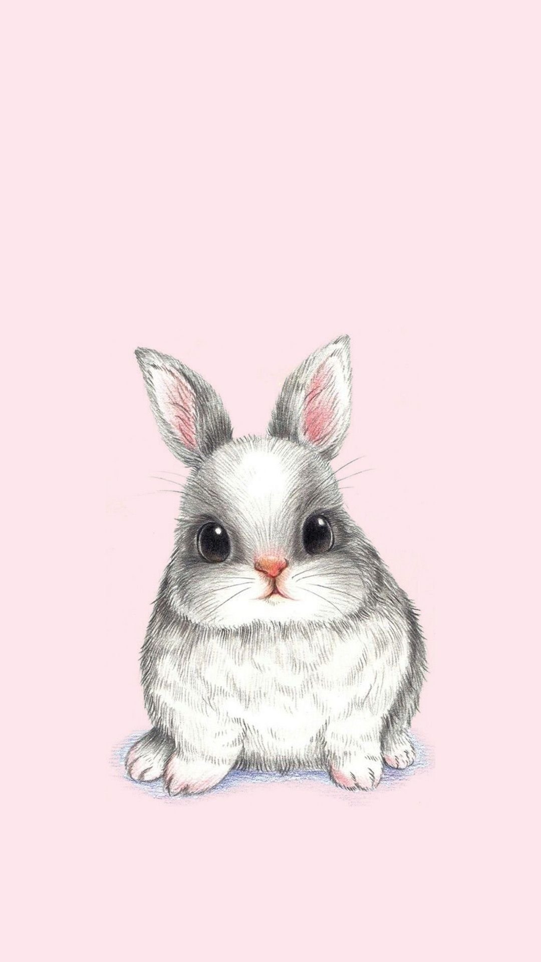 1080x1920 Cute Bunnies Wallpaper, Phone