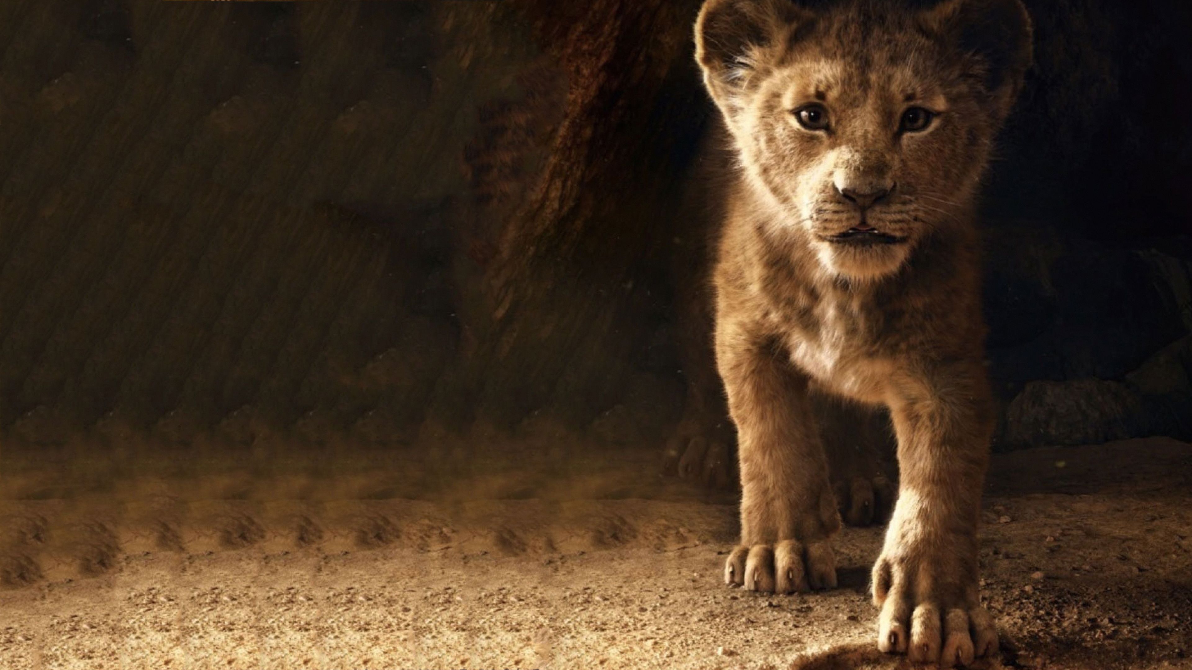 3840x2160 The Lion King Simba 2019 4k, HD Movies, 4k Wallpaper, Image, Background, Photo and Picture, Desktop