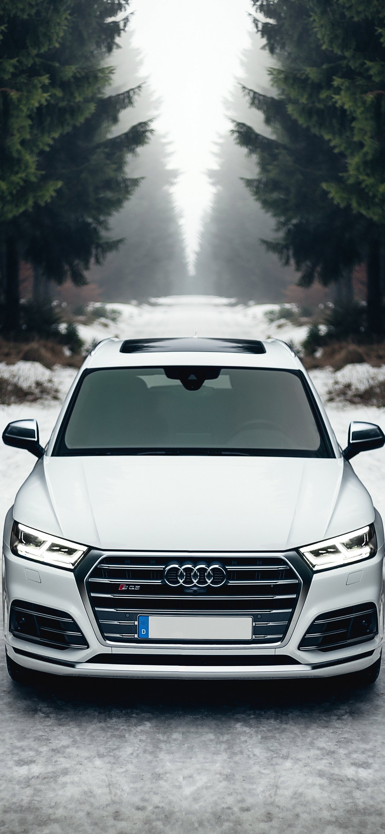 1250x2690 iPhone Wallpaper Audi, Car, Phone