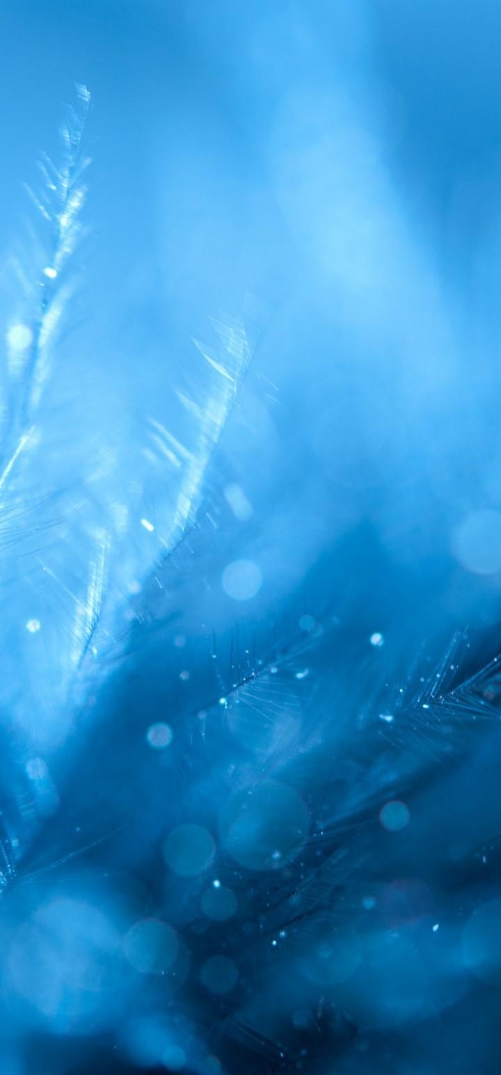 720x1550 Feathers Close Up Blurred Wallpaper - [], Phone