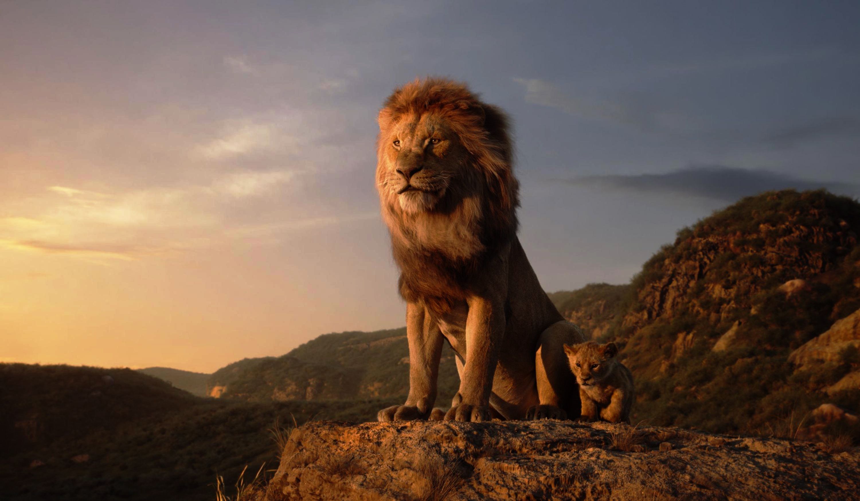 3000x1750 The Lion King 4k, HD Movies, 4k Wallpaper, Image, Background, Photo and Picture, Desktop