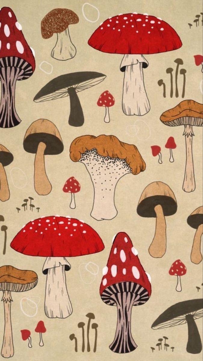 680x1200 Mushroom wallpaper for Spacehey (found), Phone