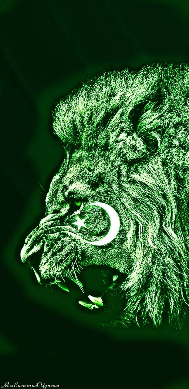 630x1280 Pakistan flag king wallpaper, Phone