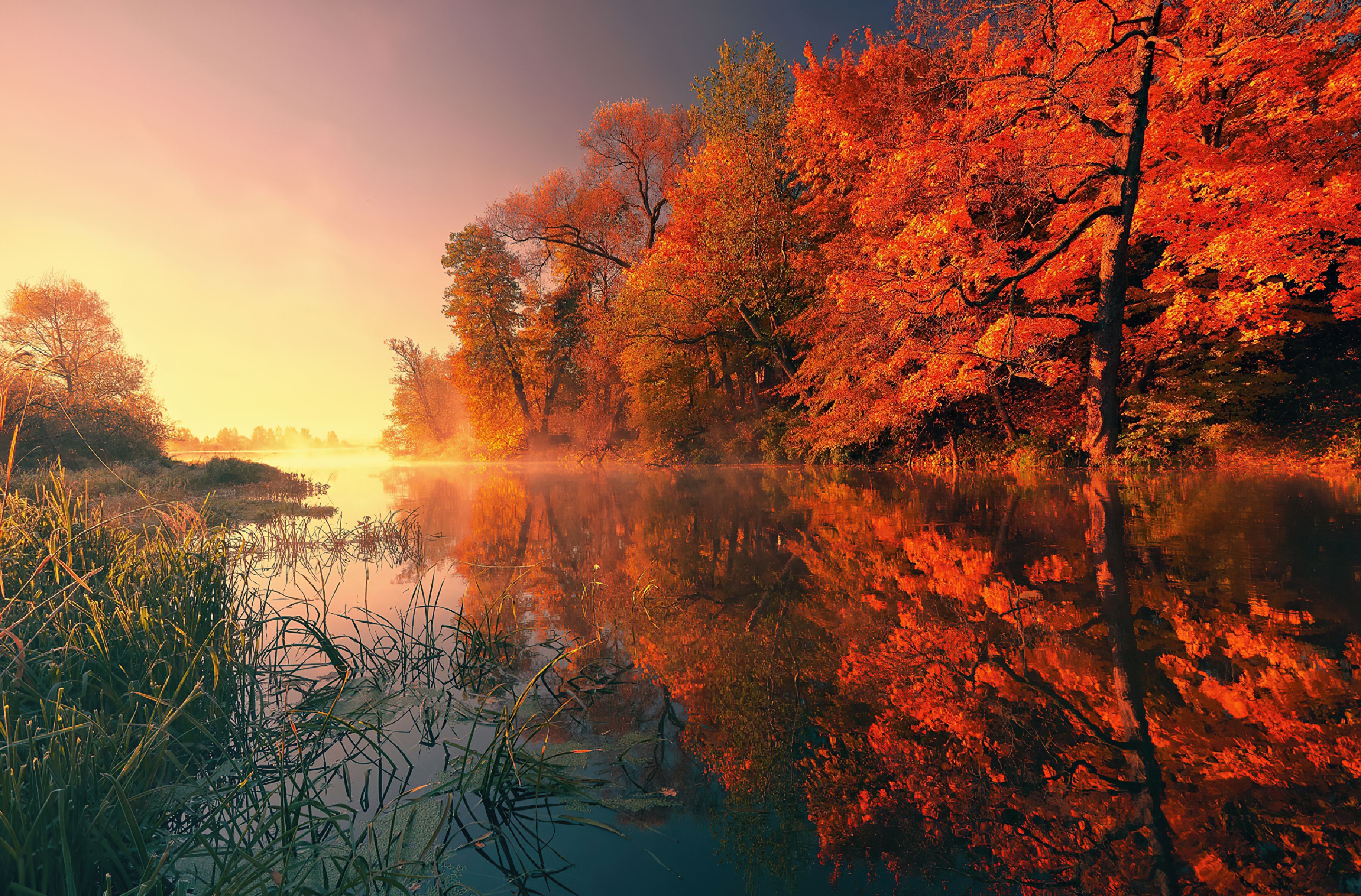 3840x2530 Trees Fall Reflection Autumn 4k Trees Fall Reflection Autumn 4k wallpaper. Fall wallpaper, Fall desktop background, Autumn trees, Desktop